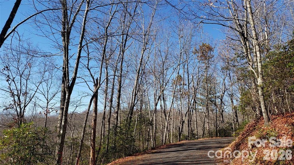 TBD Galax Lane #G-11 - Photo 6