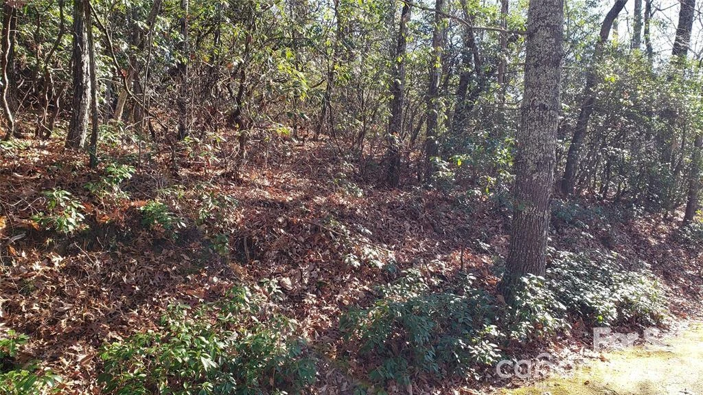 TBD Galax Lane #G-11 - Photo 7