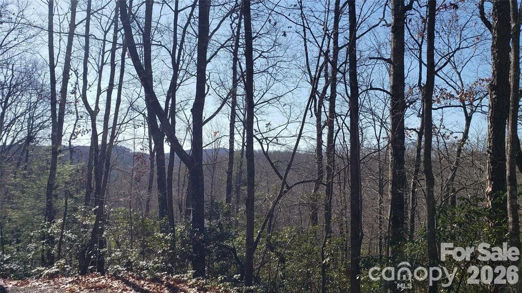 TBD Galax Lane #G-11 - Photo 8