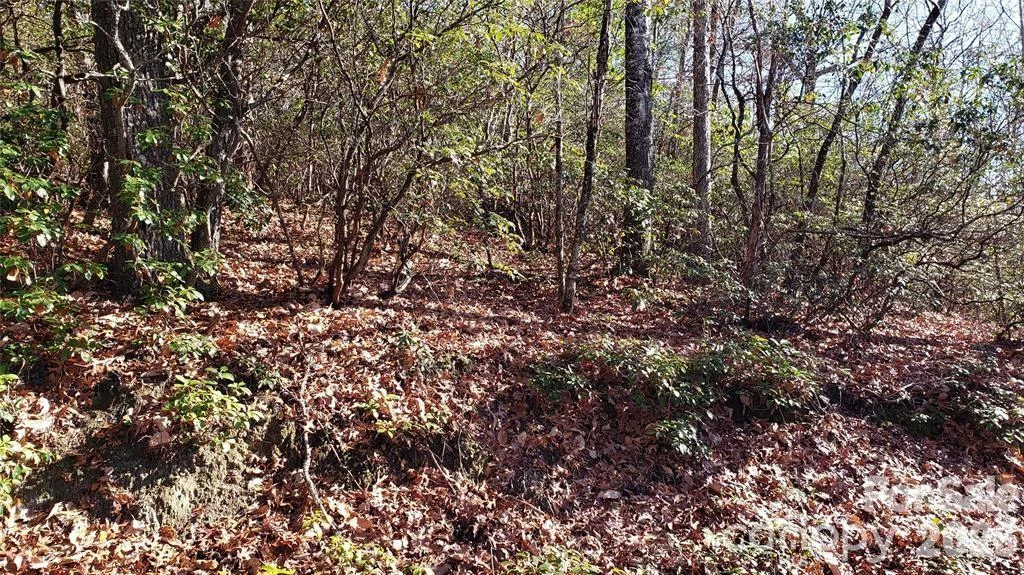 TBD Galax Lane #G-11 - Photo 9
