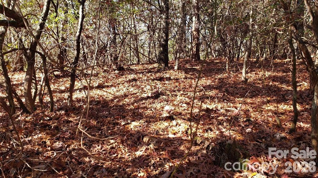 TBD Galax Lane #G-11 - Photo 10