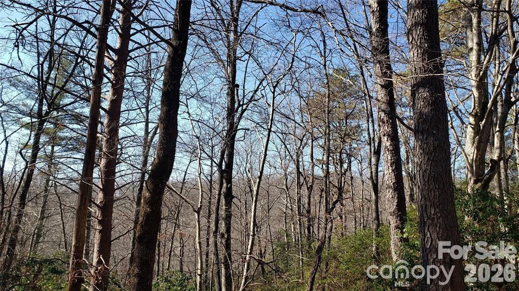 TBD Galax Lane #G-11 - Photo 12