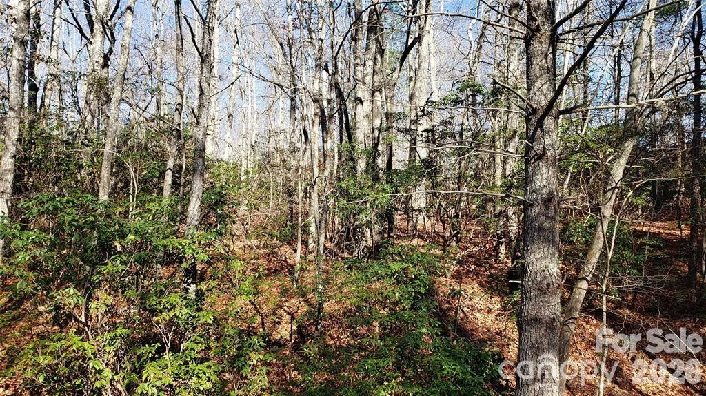 TBD Galax Lane #G-11 - Photo 13