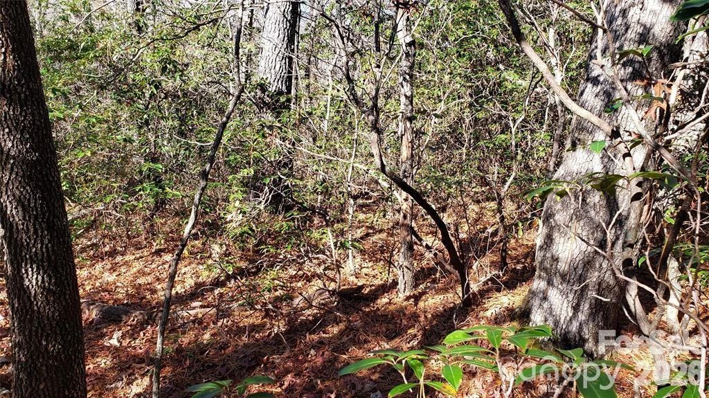 TBD Galax Lane #G-11 - Photo 14