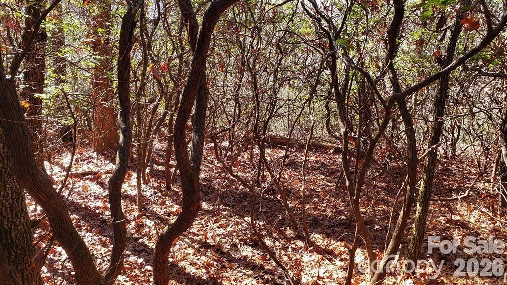 TBD Galax Lane #G-11 - Photo 15