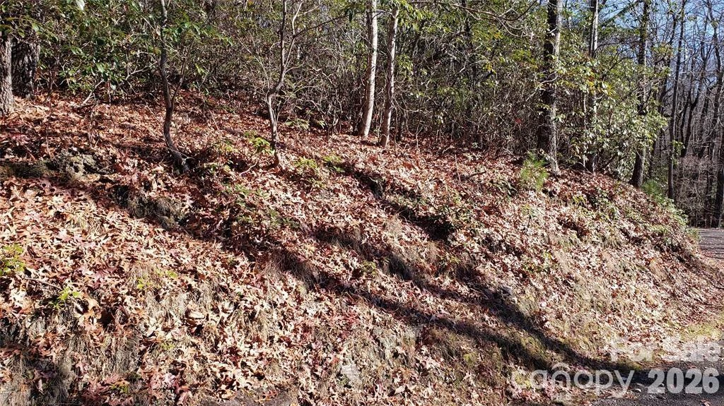 TBD Galax Lane #G-11 - Photo 16