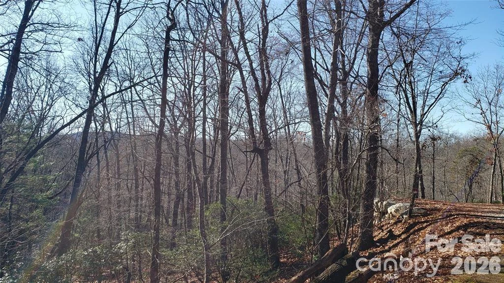 TBD Galax Lane #G-11 - Photo 17