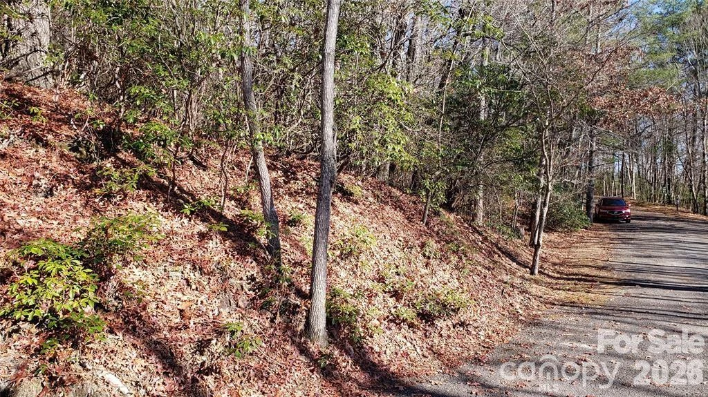 TBD Galax Lane #G-11 - Photo 18