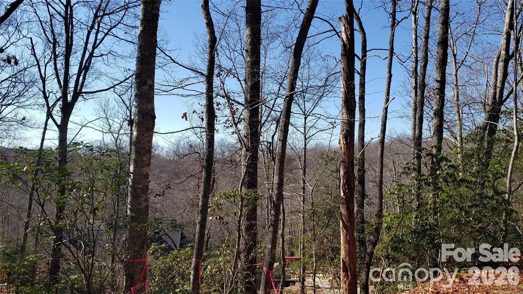 TBD Galax Lane #G-11 - Photo 19