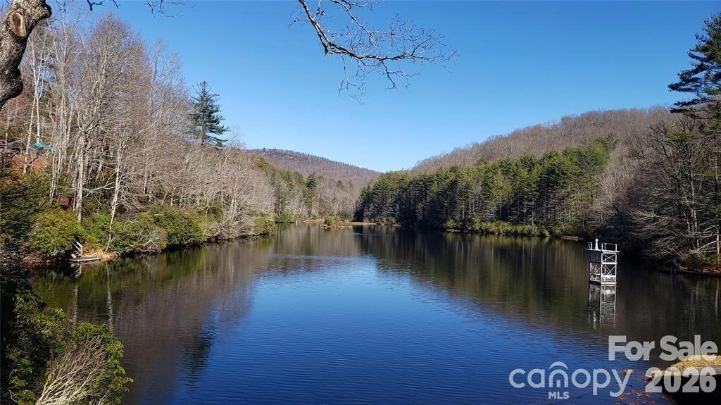 TBD Galax Lane #G-11 - Photo 21