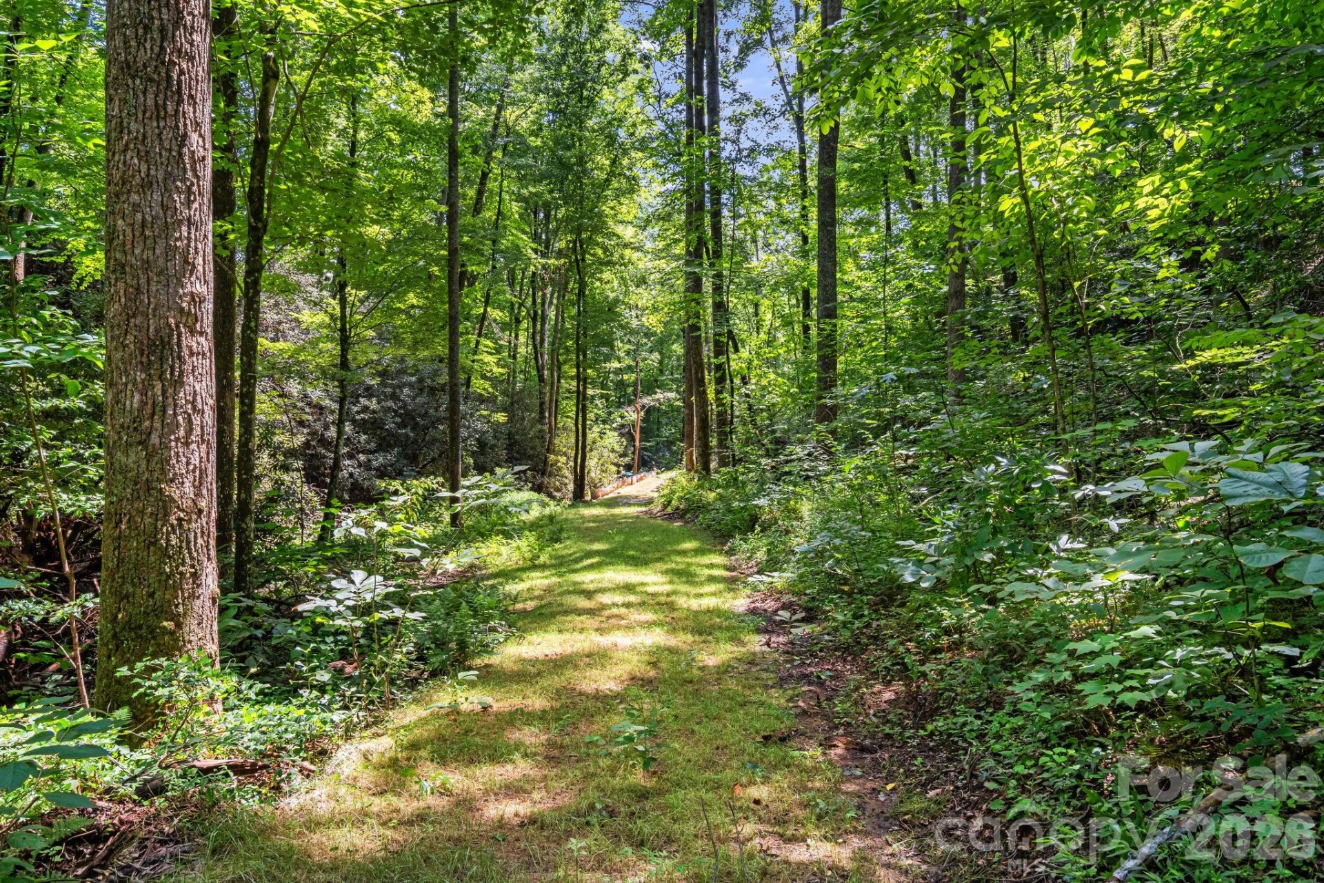 163 Camp Elliott Road - Photo 14