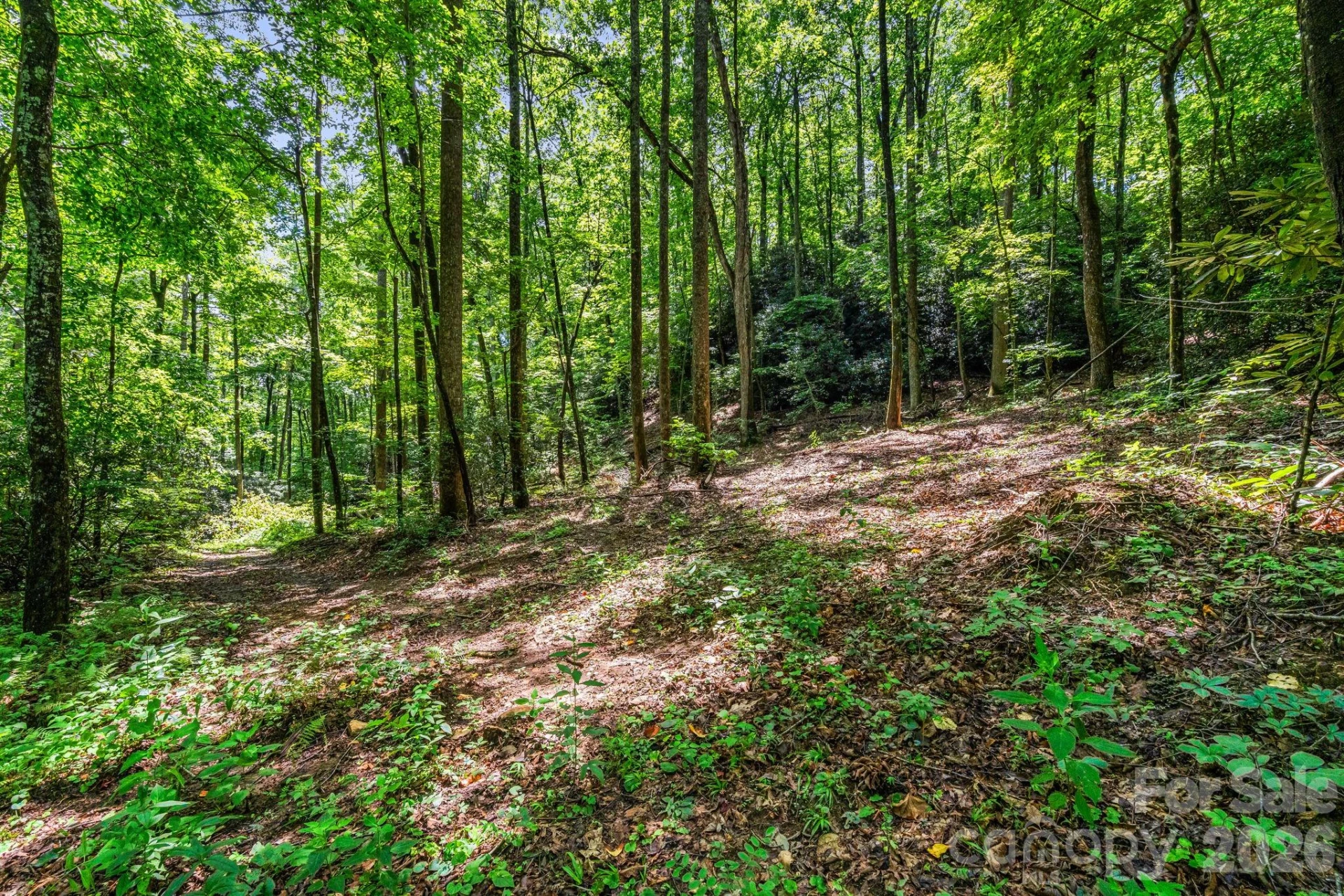163 Camp Elliott Road - Photo 15