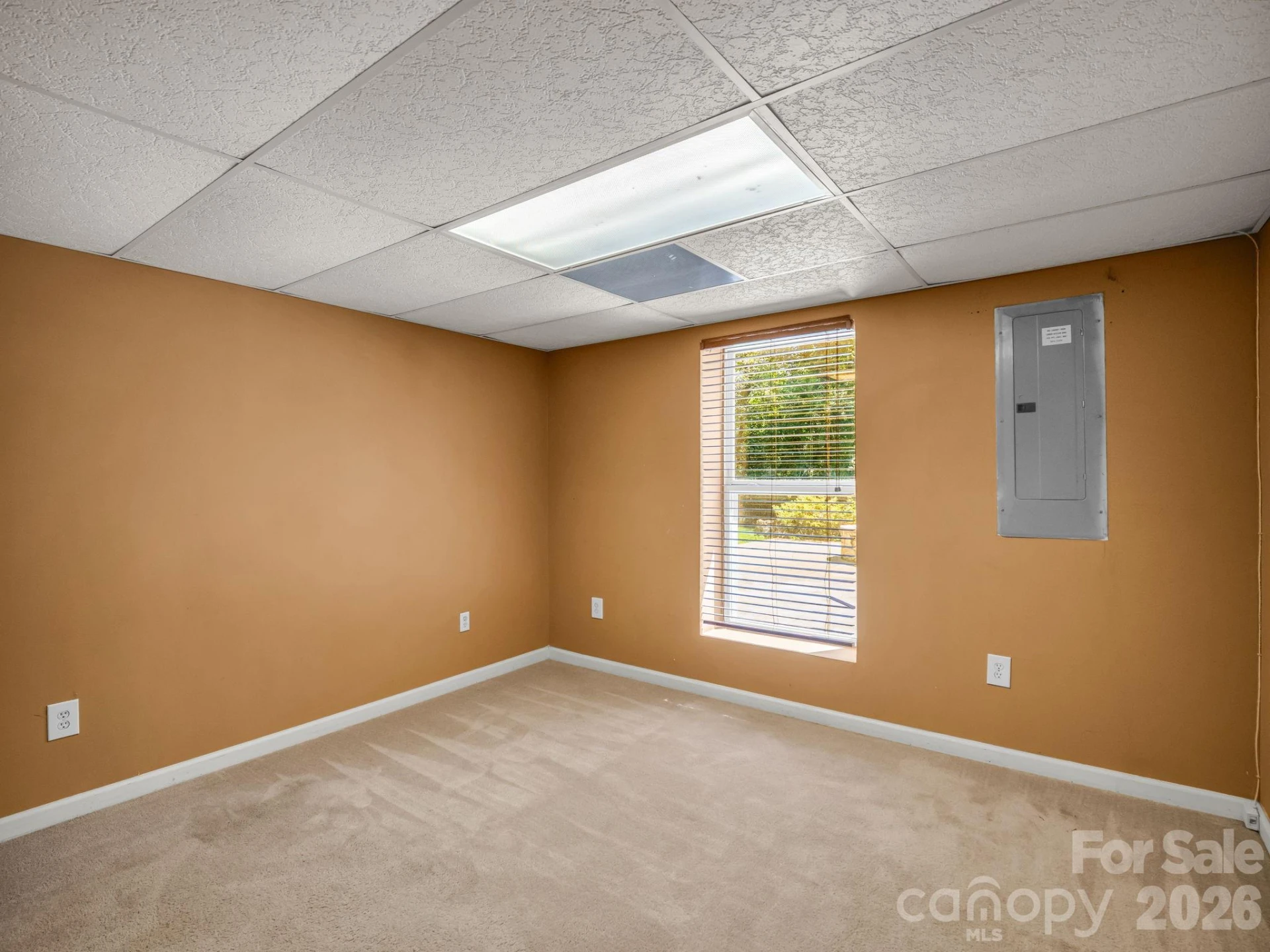 69 Ivy Lane - Photo 39