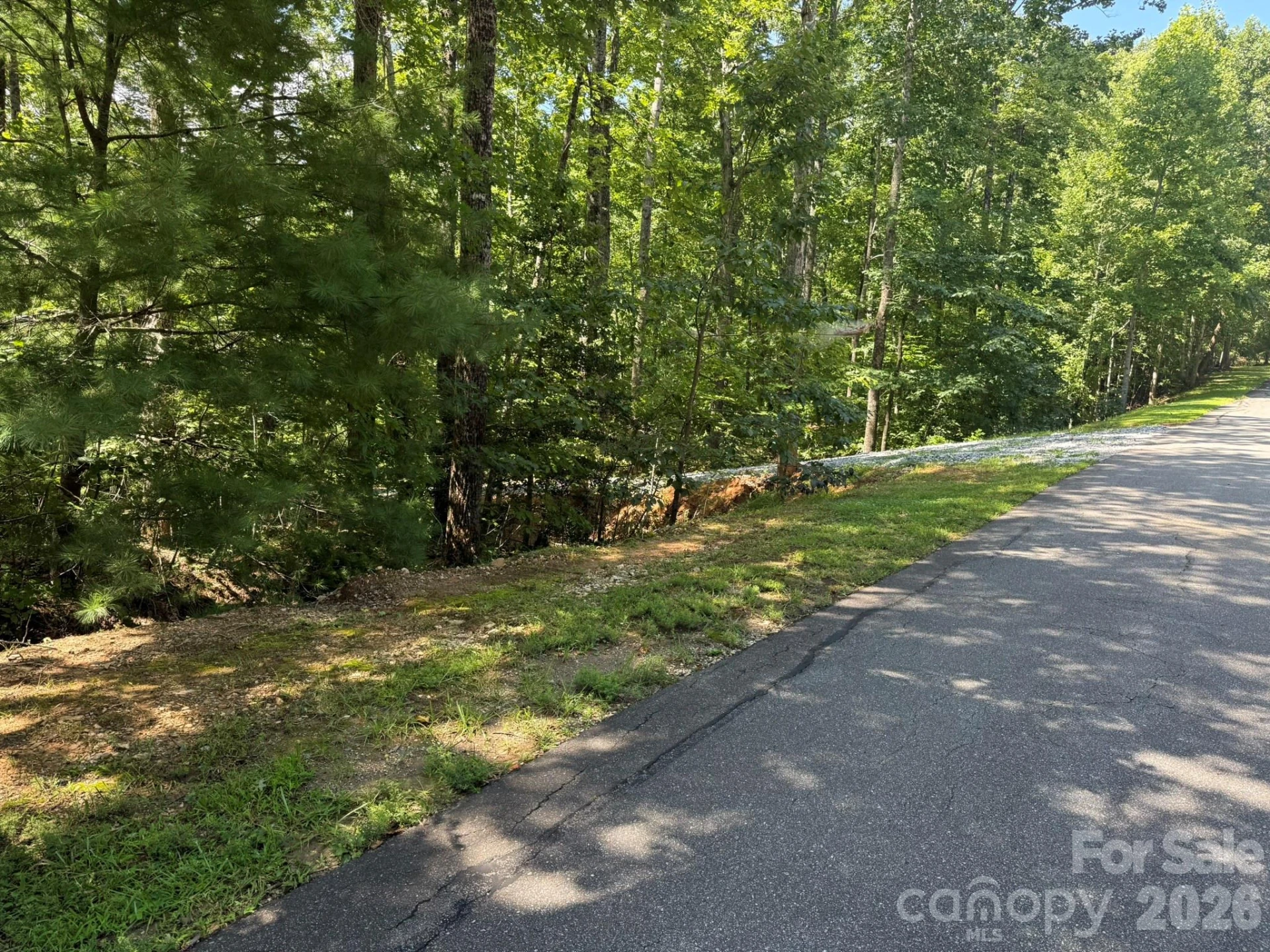 V/L Forest Country Drive #34 - Photo 3