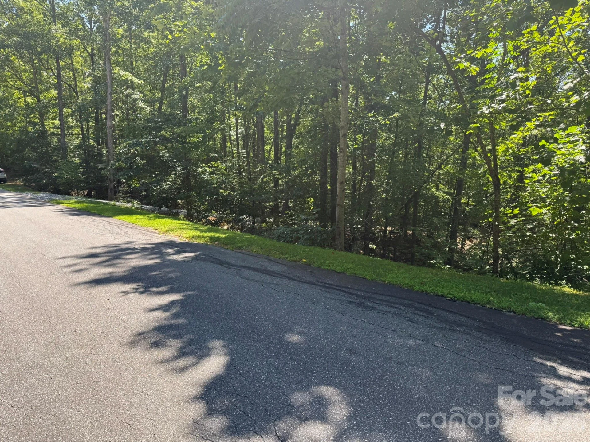 V/L Forest Country Drive #34 - Photo 4