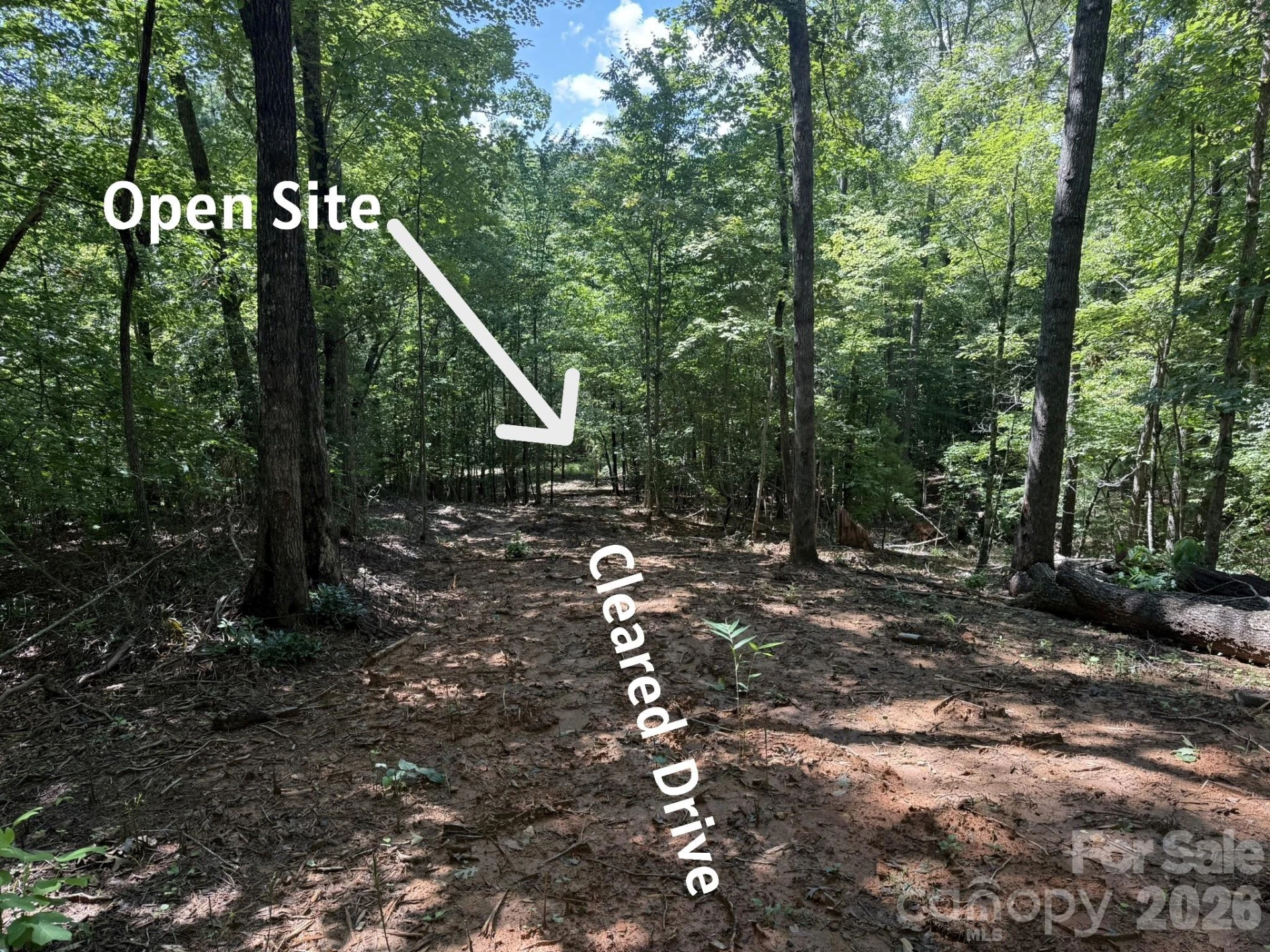 V/L Forest Country Drive #34 - Photo 5