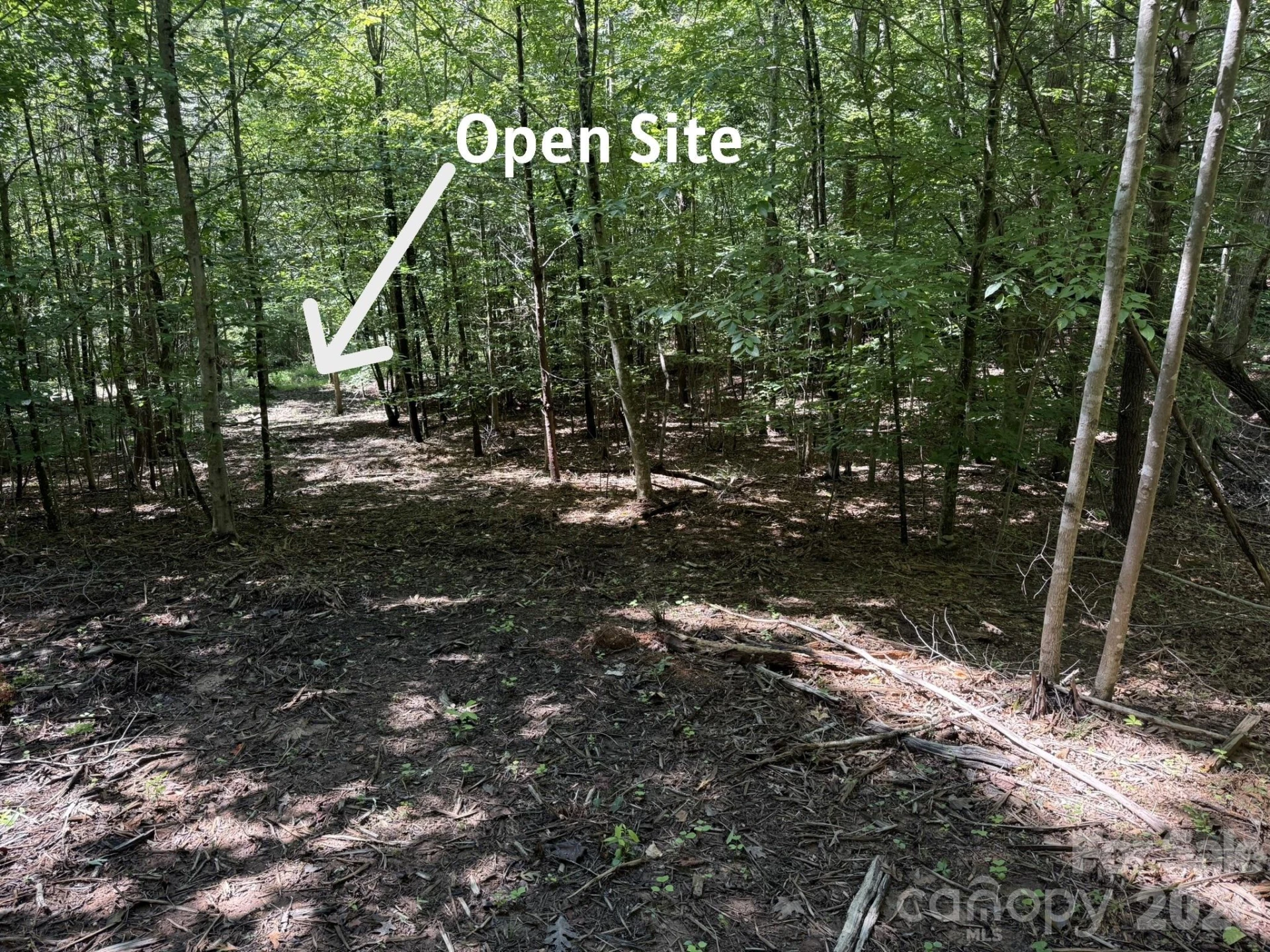 V/L Forest Country Drive #34 - Photo 6