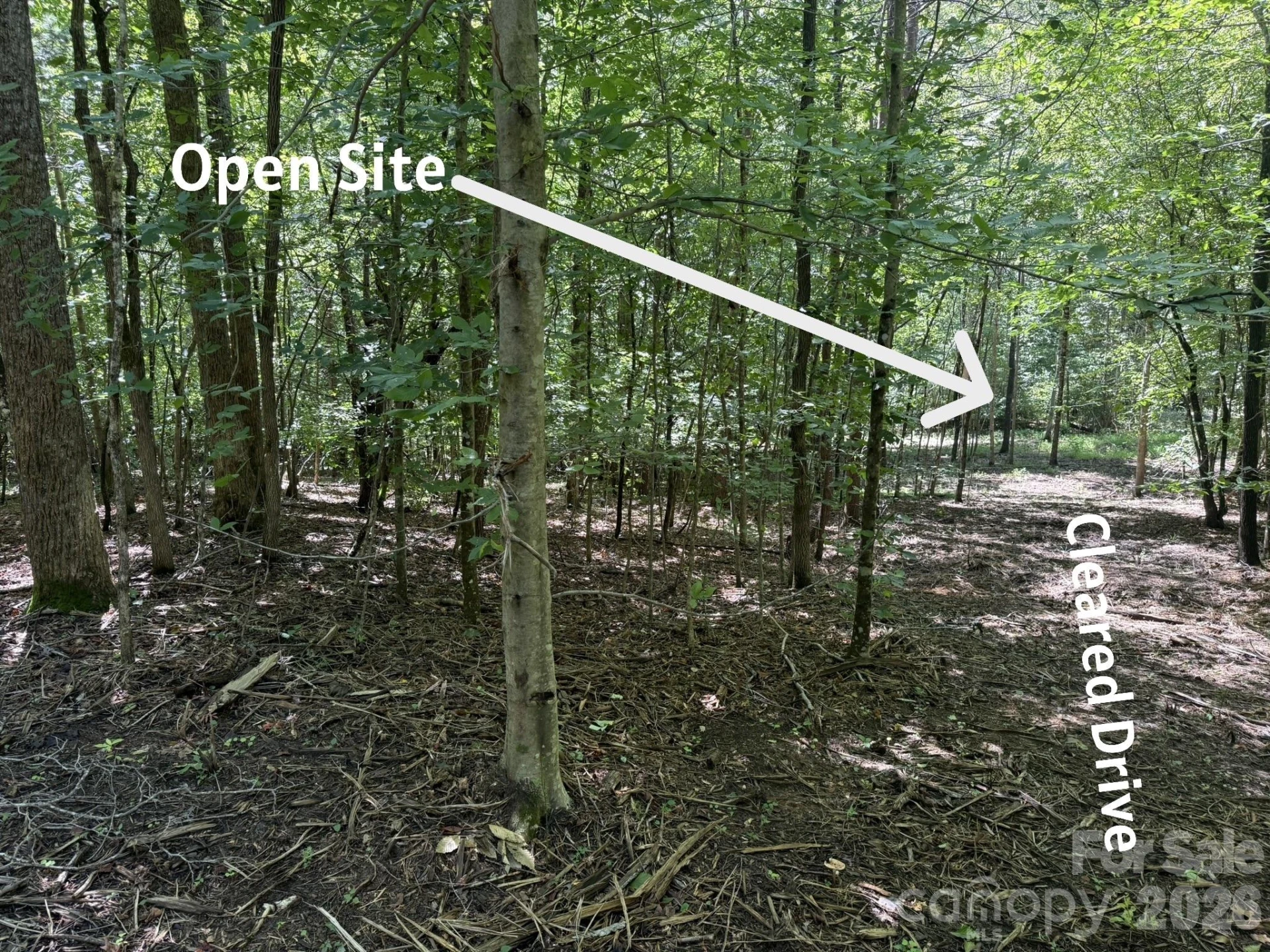 V/L Forest Country Drive #34 - Photo 7