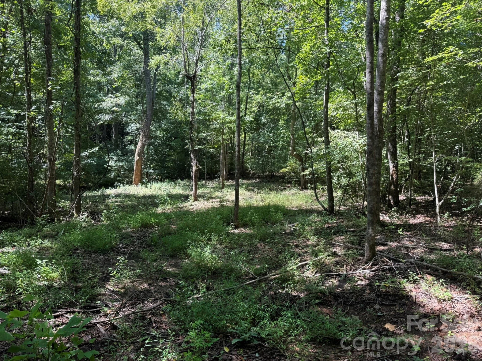 V/L Forest Country Drive #34 - Photo 10