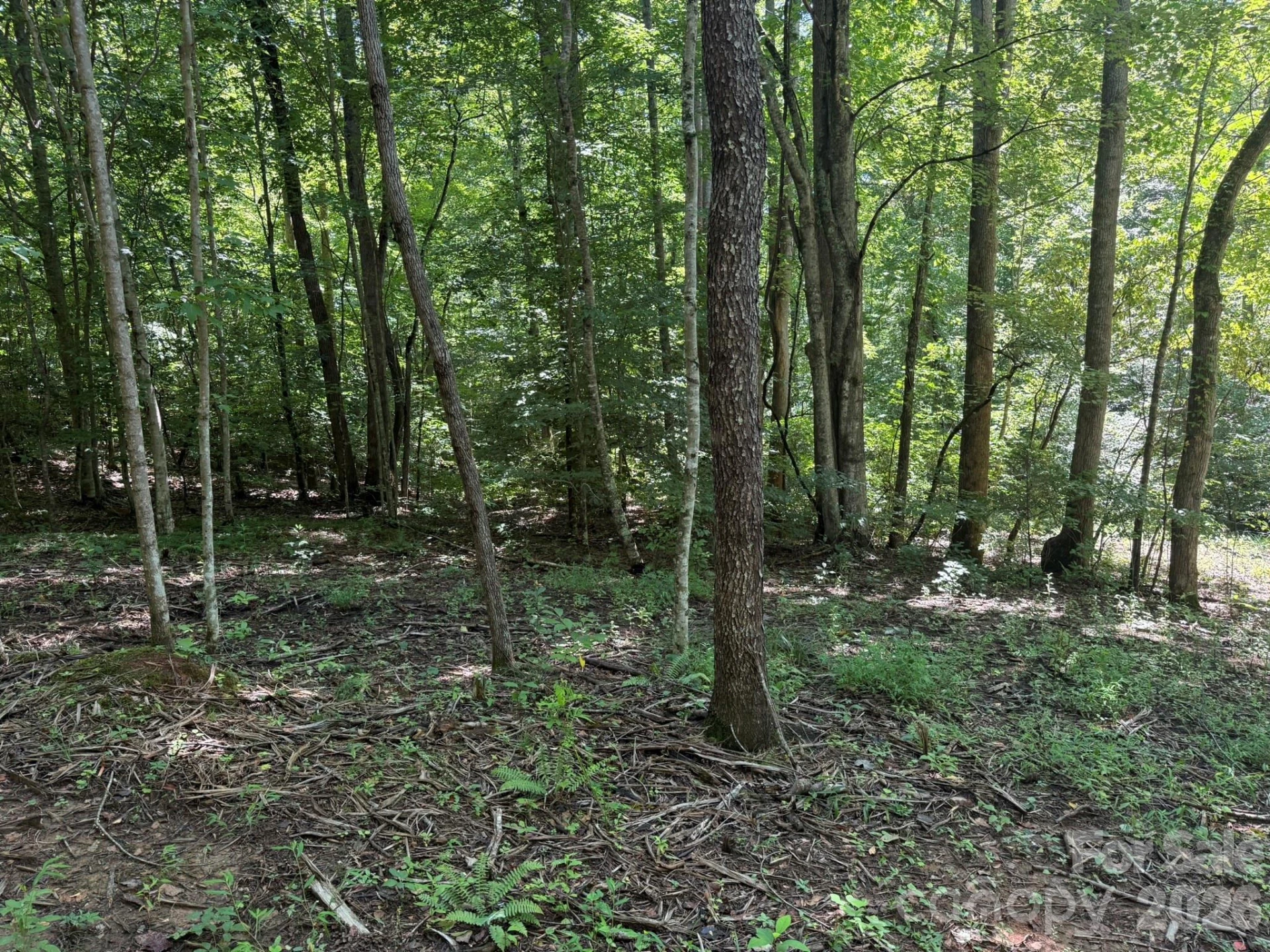 V/L Forest Country Drive #34 - Photo 11