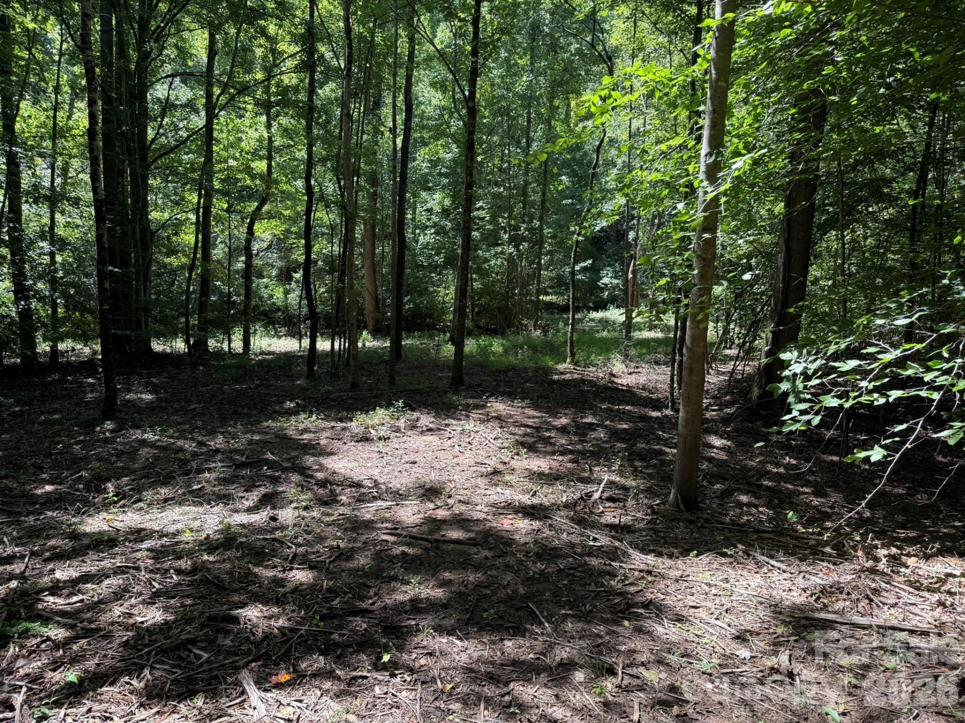V/L Forest Country Drive #34 - Photo 12
