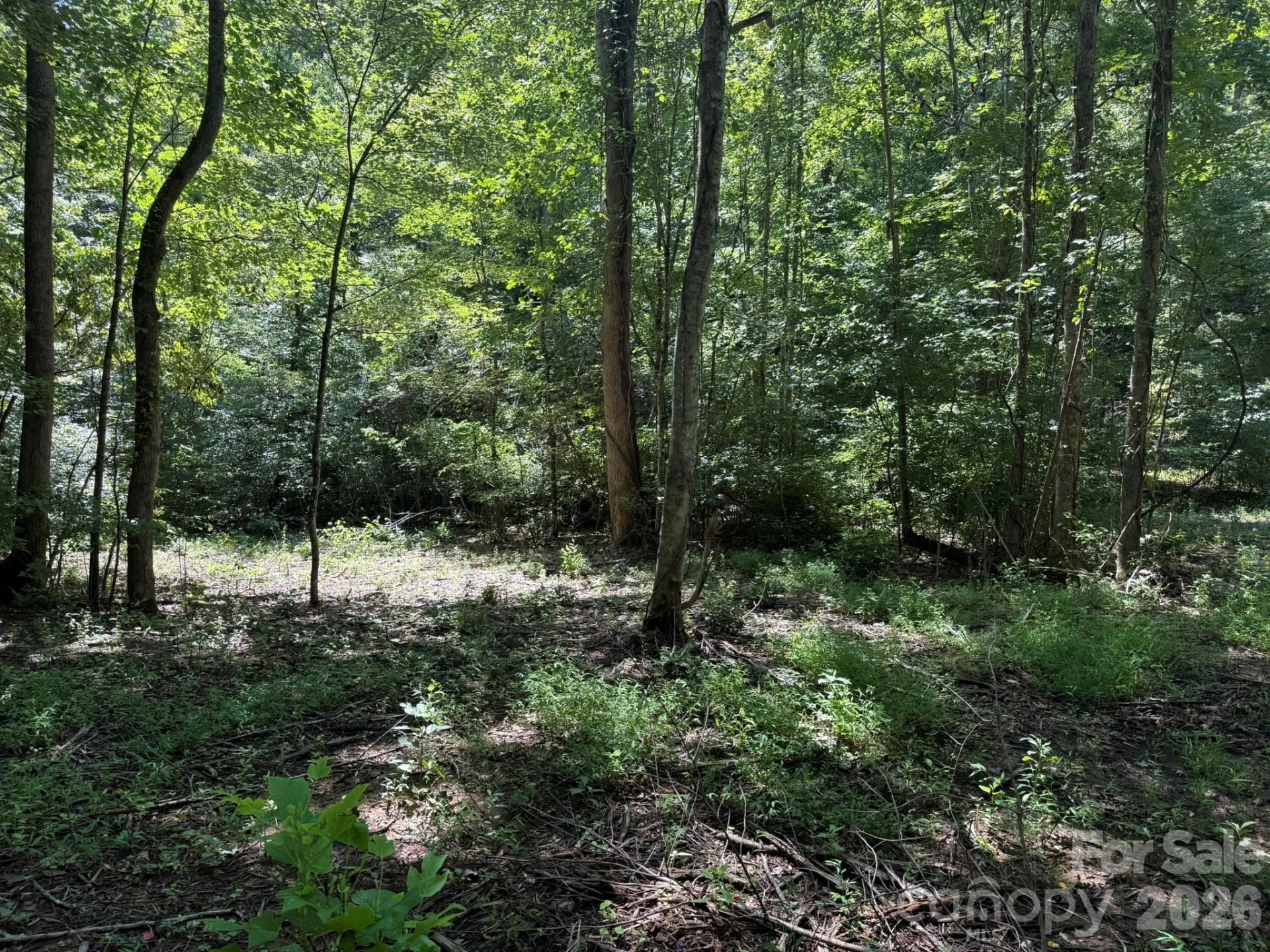 V/L Forest Country Drive #34 - Photo 14