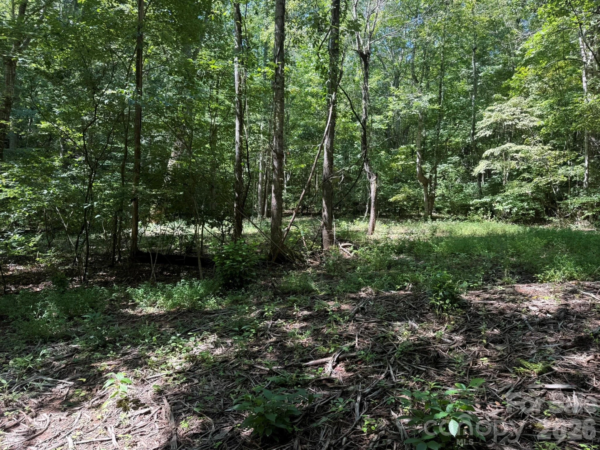 V/L Forest Country Drive #34 - Photo 16
