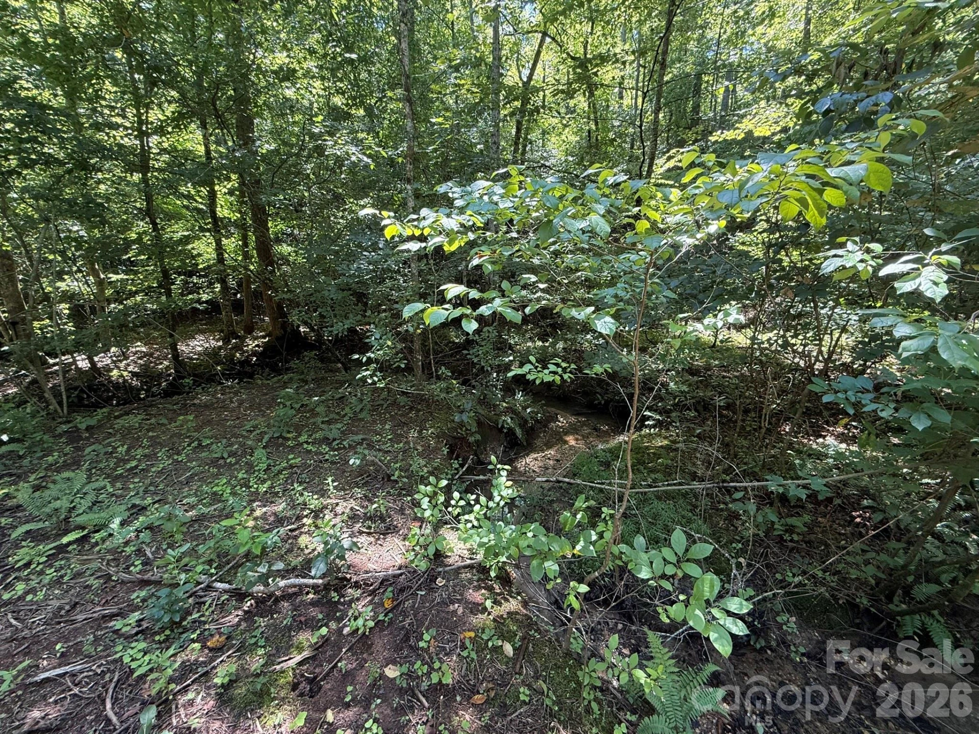 V/L Forest Country Drive #34 - Photo 18