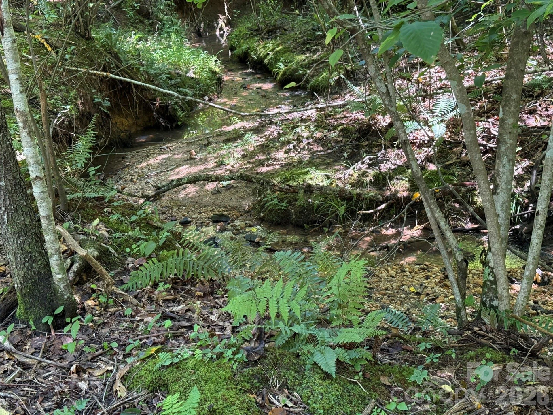 V/L Forest Country Drive #34 - Photo 19