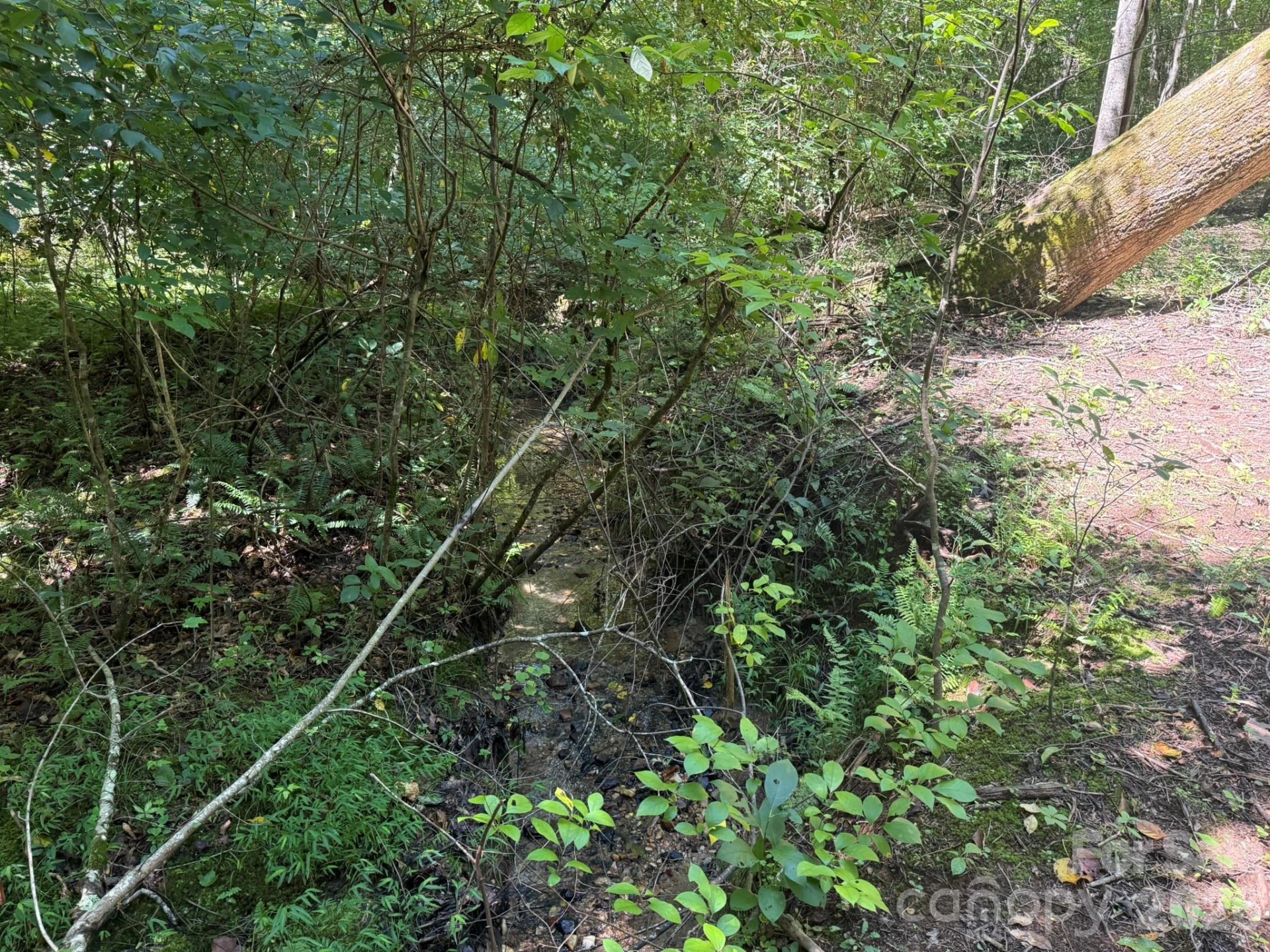 V/L Forest Country Drive #34 - Photo 21