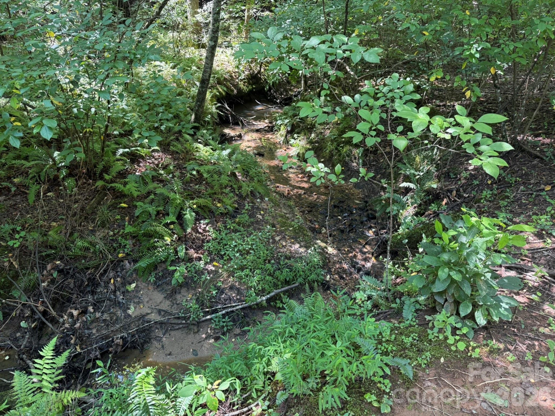 V/L Forest Country Drive #34 - Photo 22