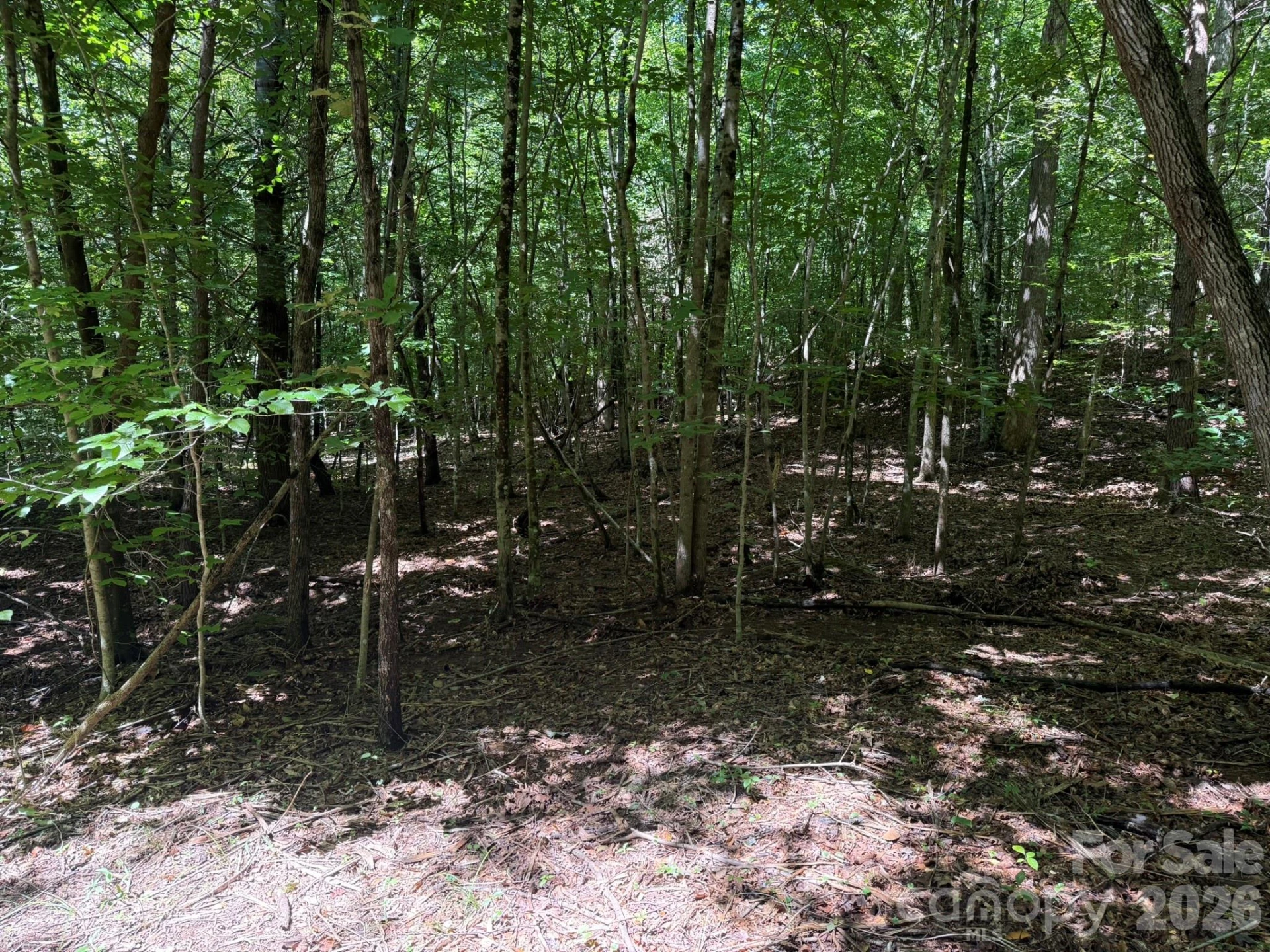 V/L Forest Country Drive #34 - Photo 25