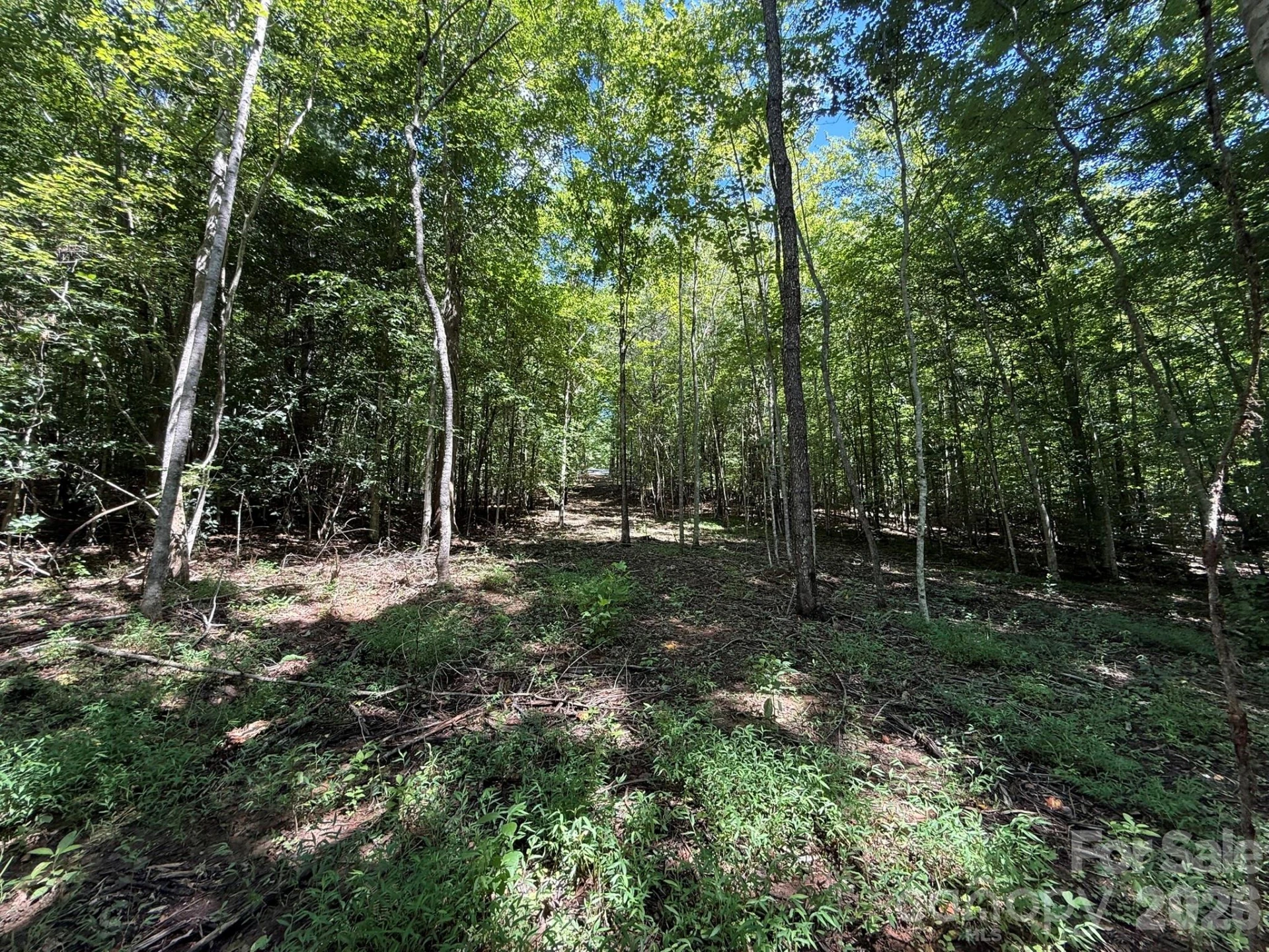 V/L Forest Country Drive #34 - Photo 26