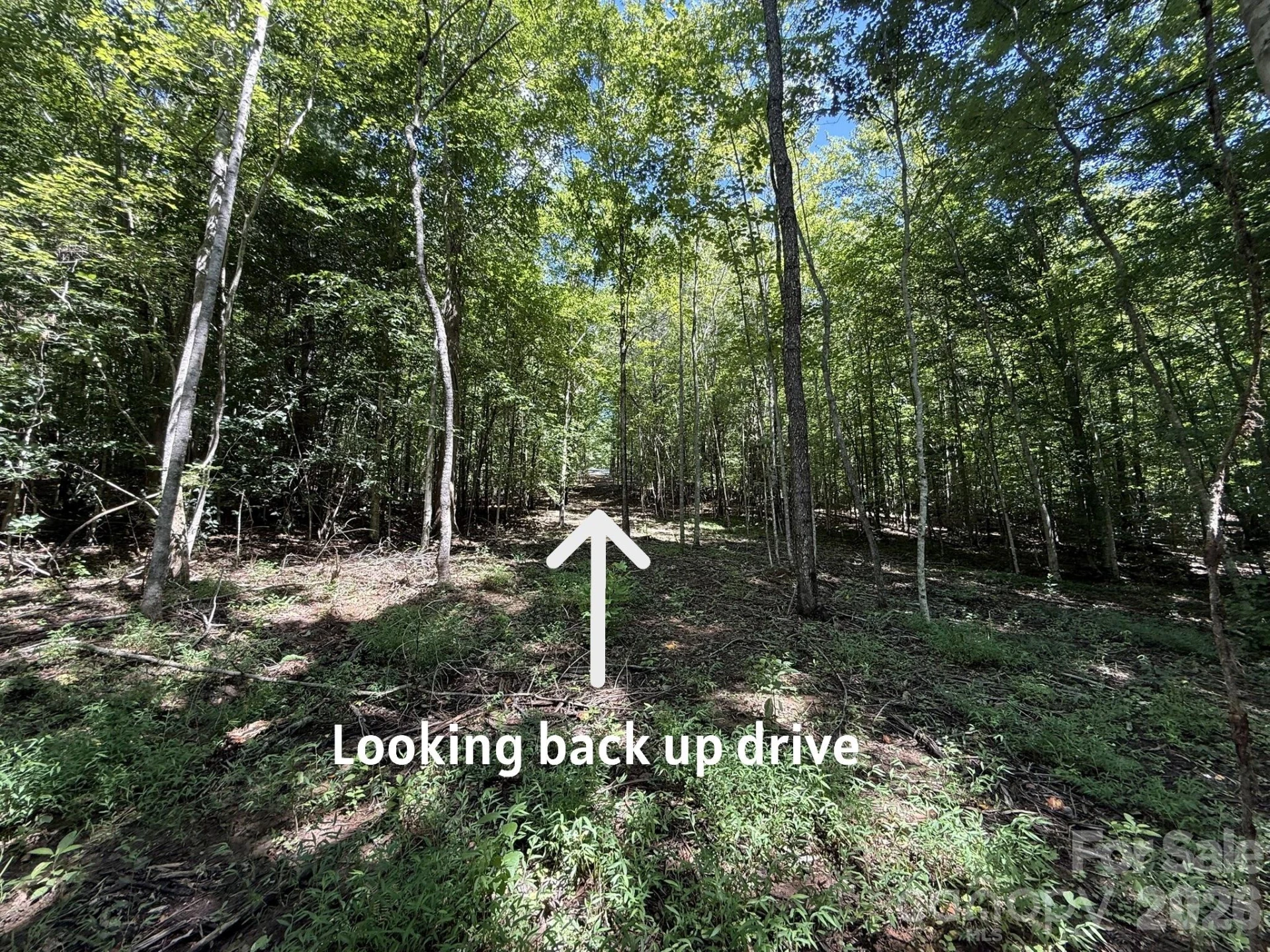 V/L Forest Country Drive #34 - Photo 27