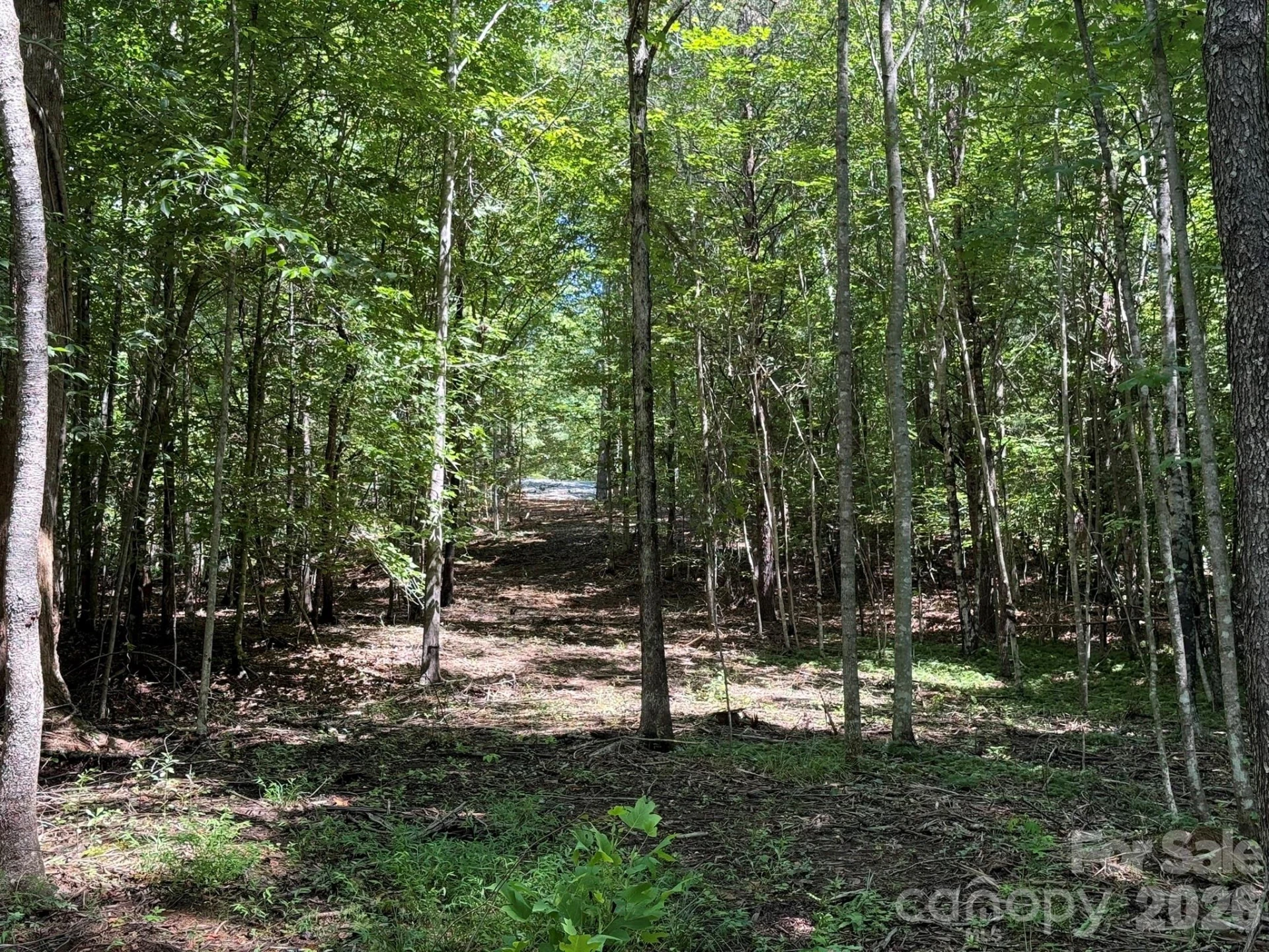 V/L Forest Country Drive #34 - Photo 28