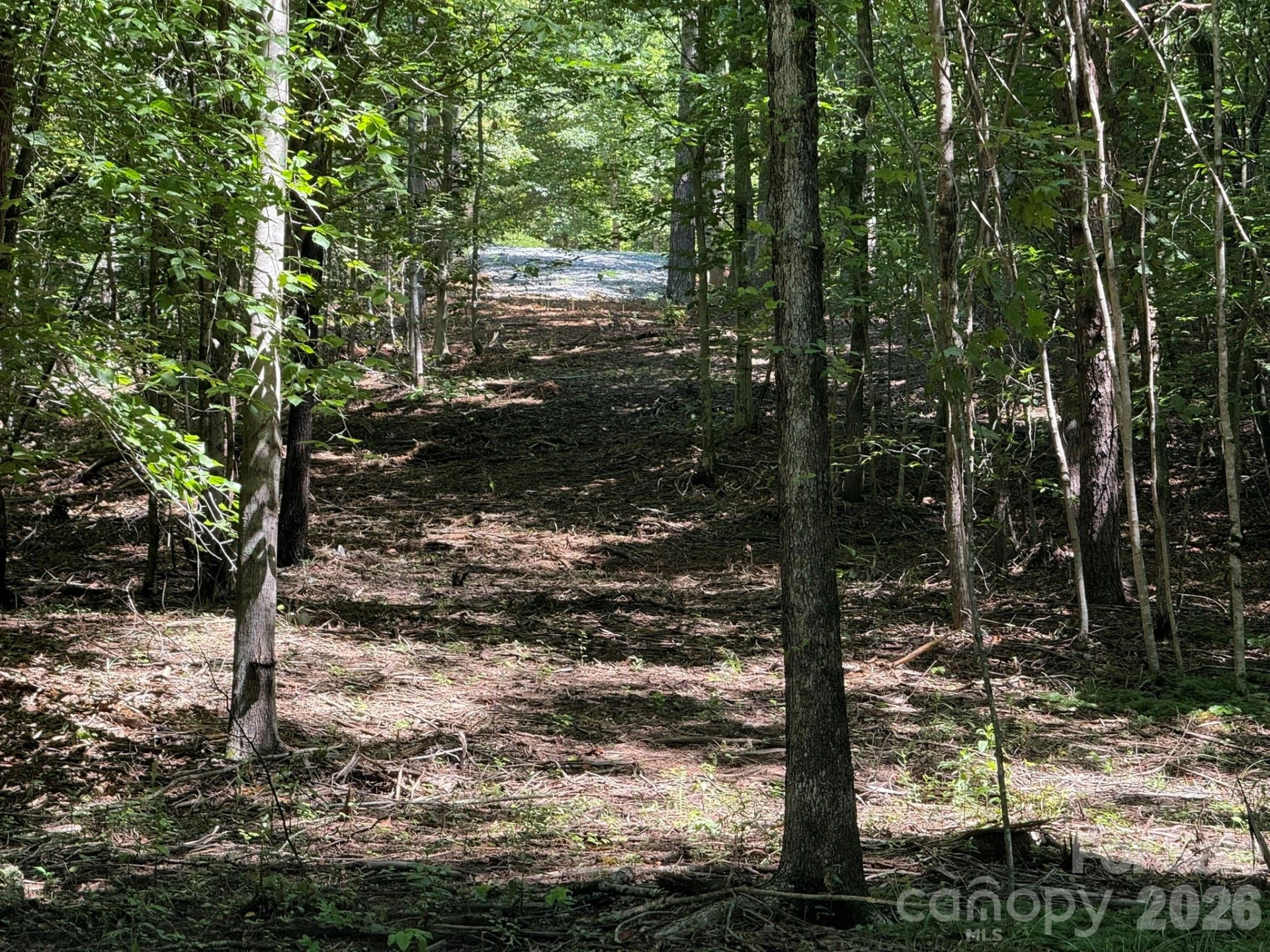 V/L Forest Country Drive #34 - Photo 29