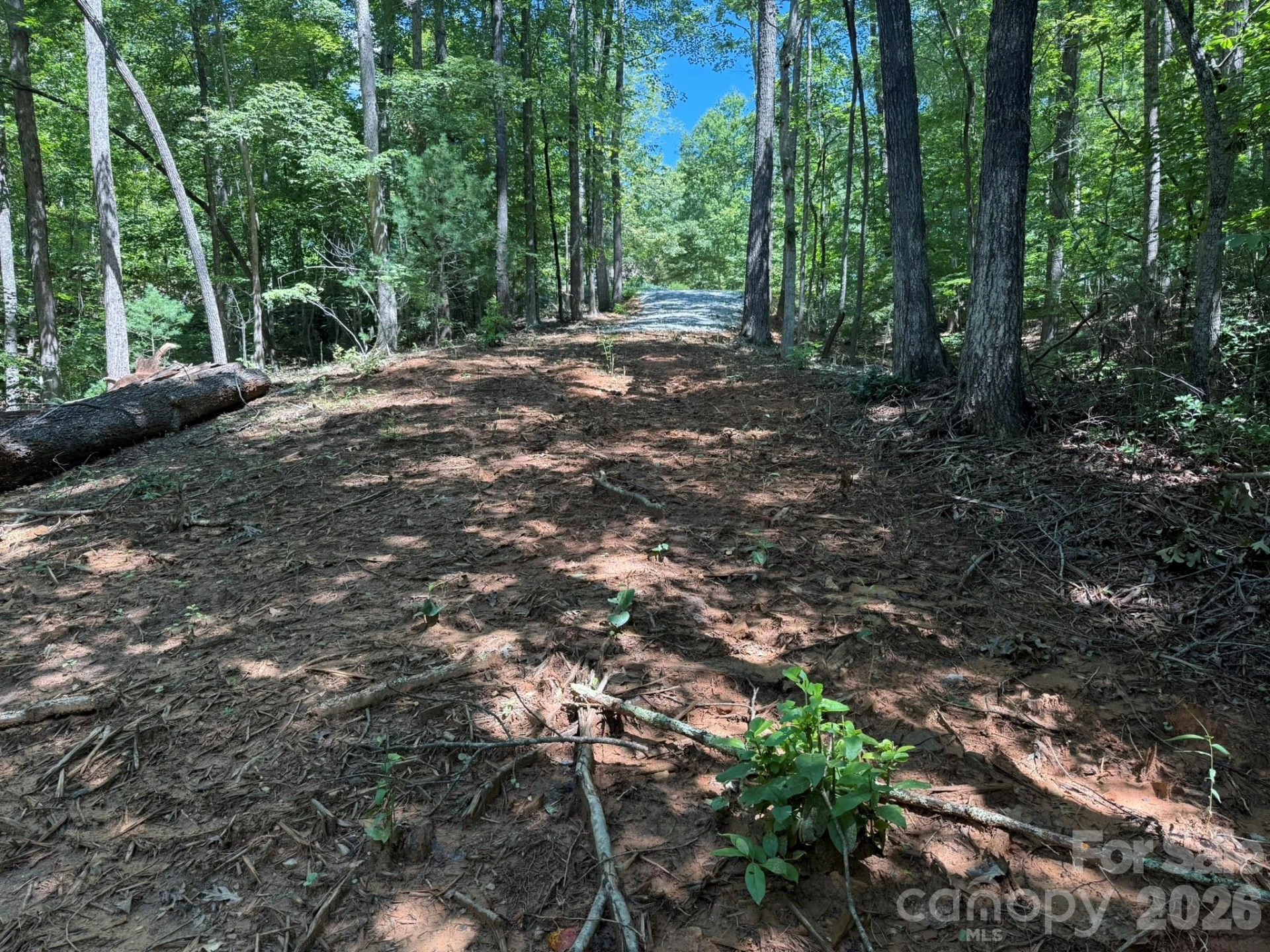 V/L Forest Country Drive #34 - Photo 30