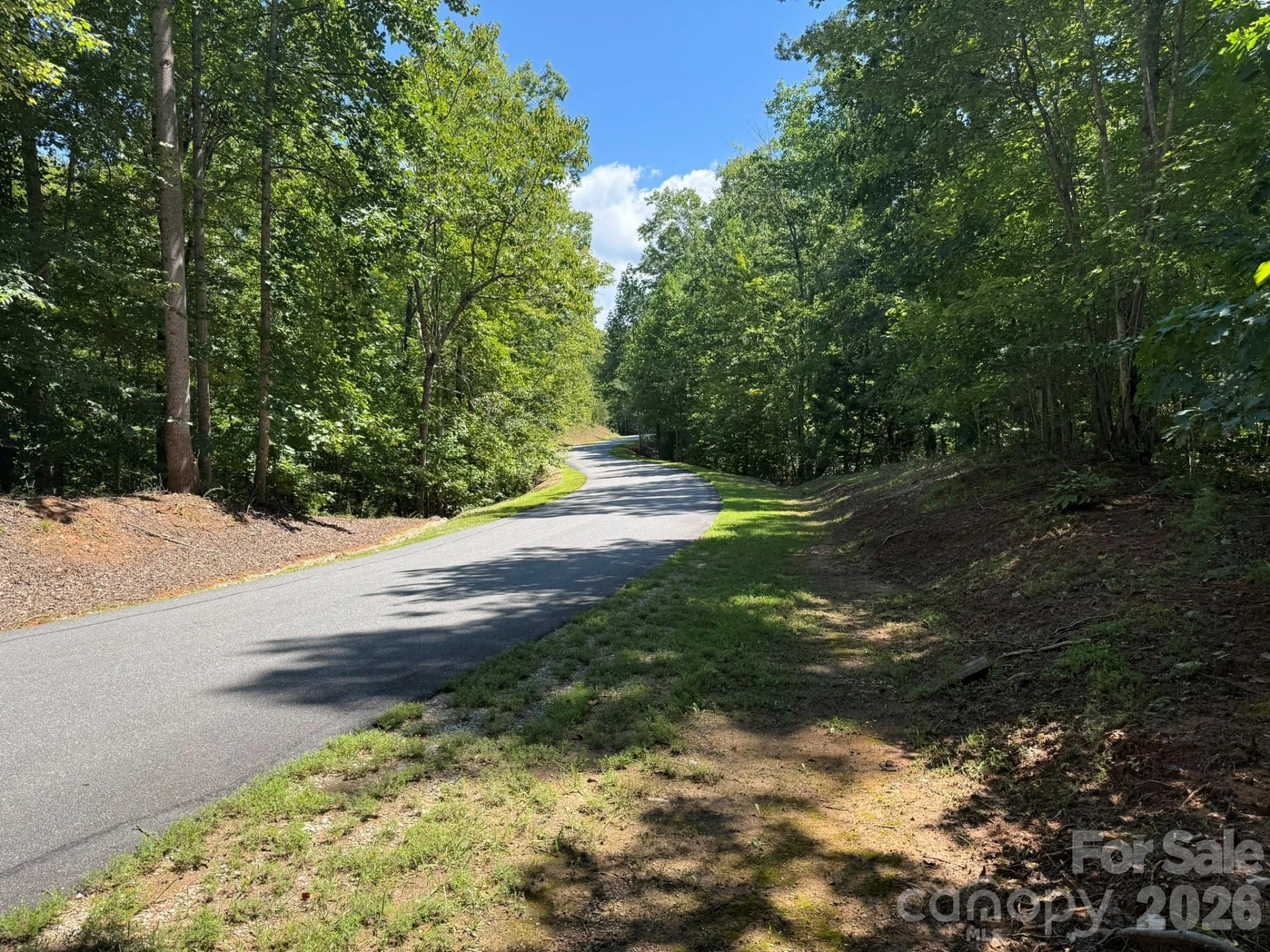 V/L Forest Country Drive #34 - Photo 32