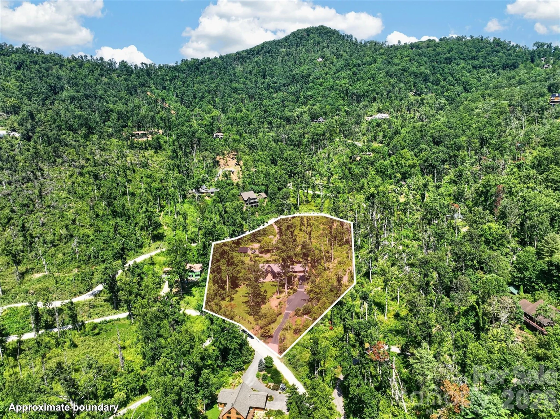 299 Webb Cove Road - Photo 7