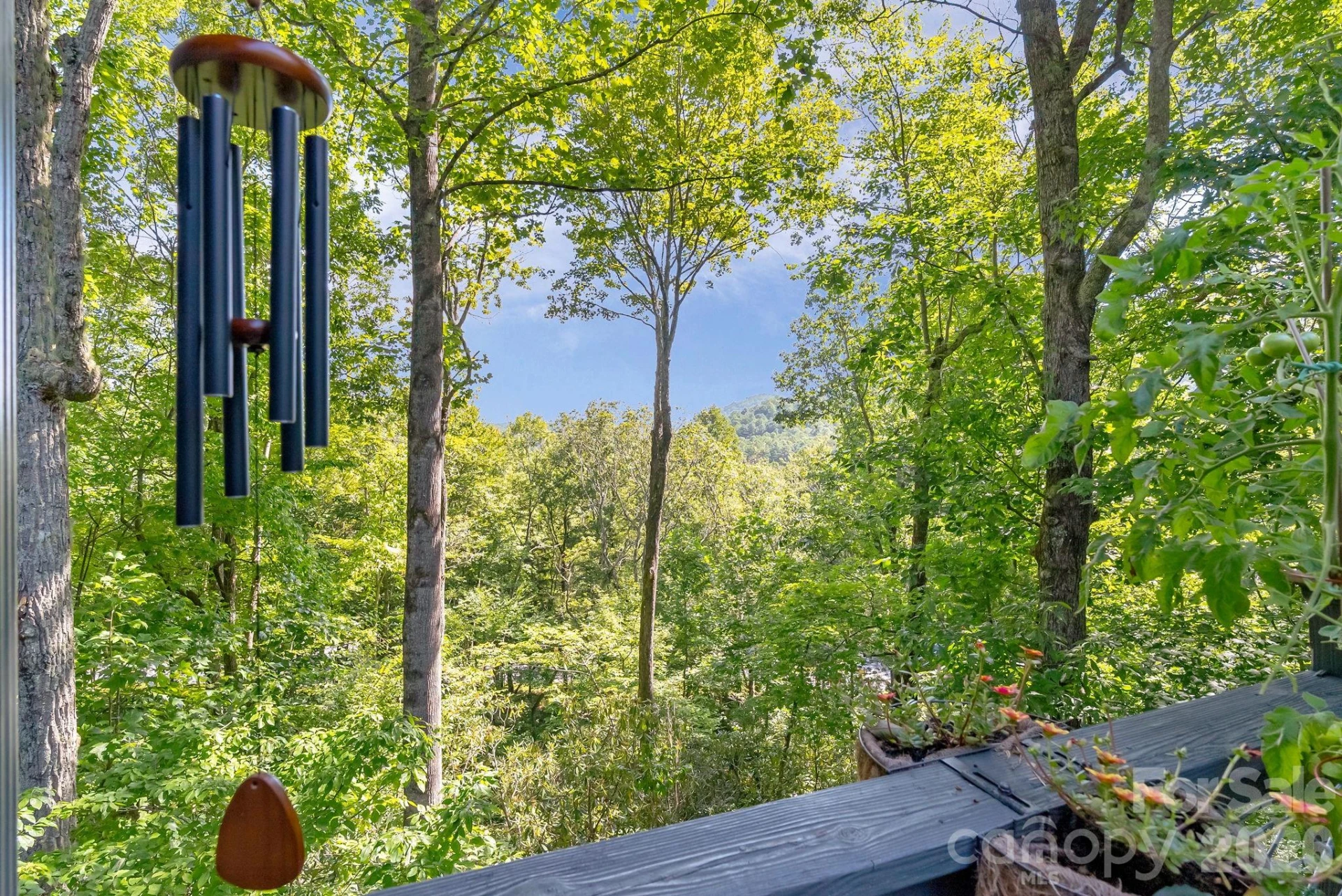 107 Spruce Lane - Photo 28