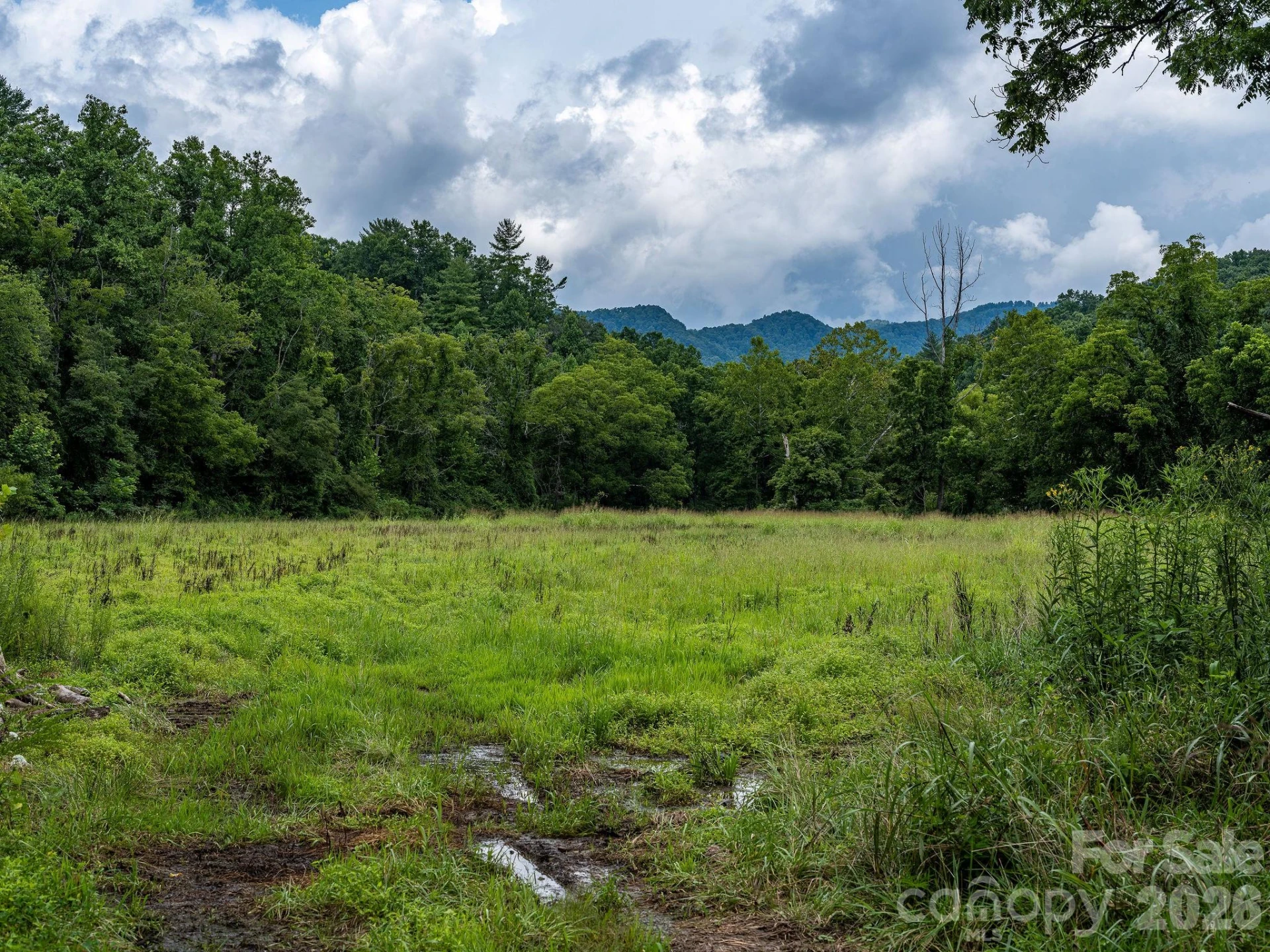 99999 Meadows Town Road - Photo 8