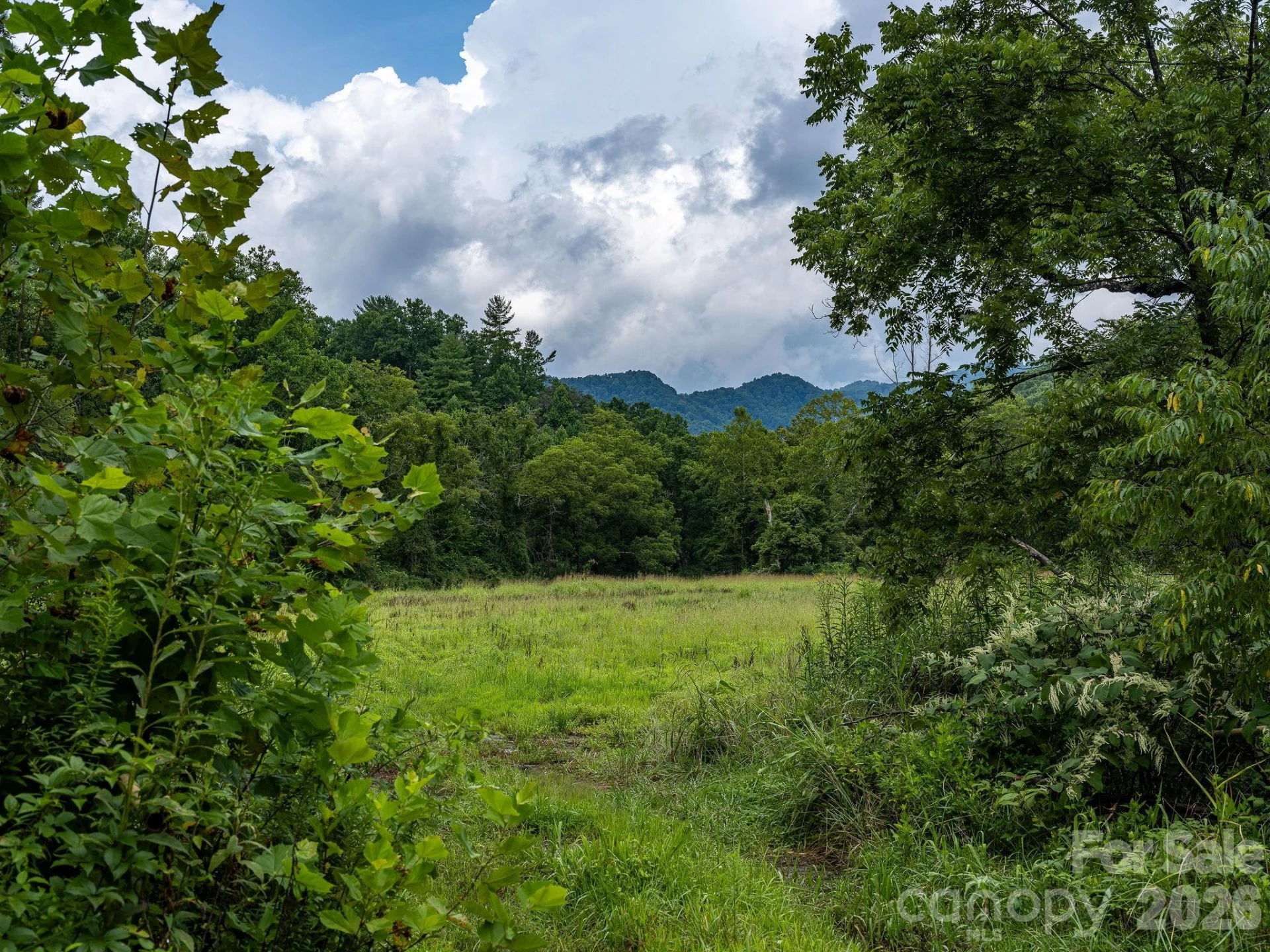 99999 Meadows Town Road - Photo 9