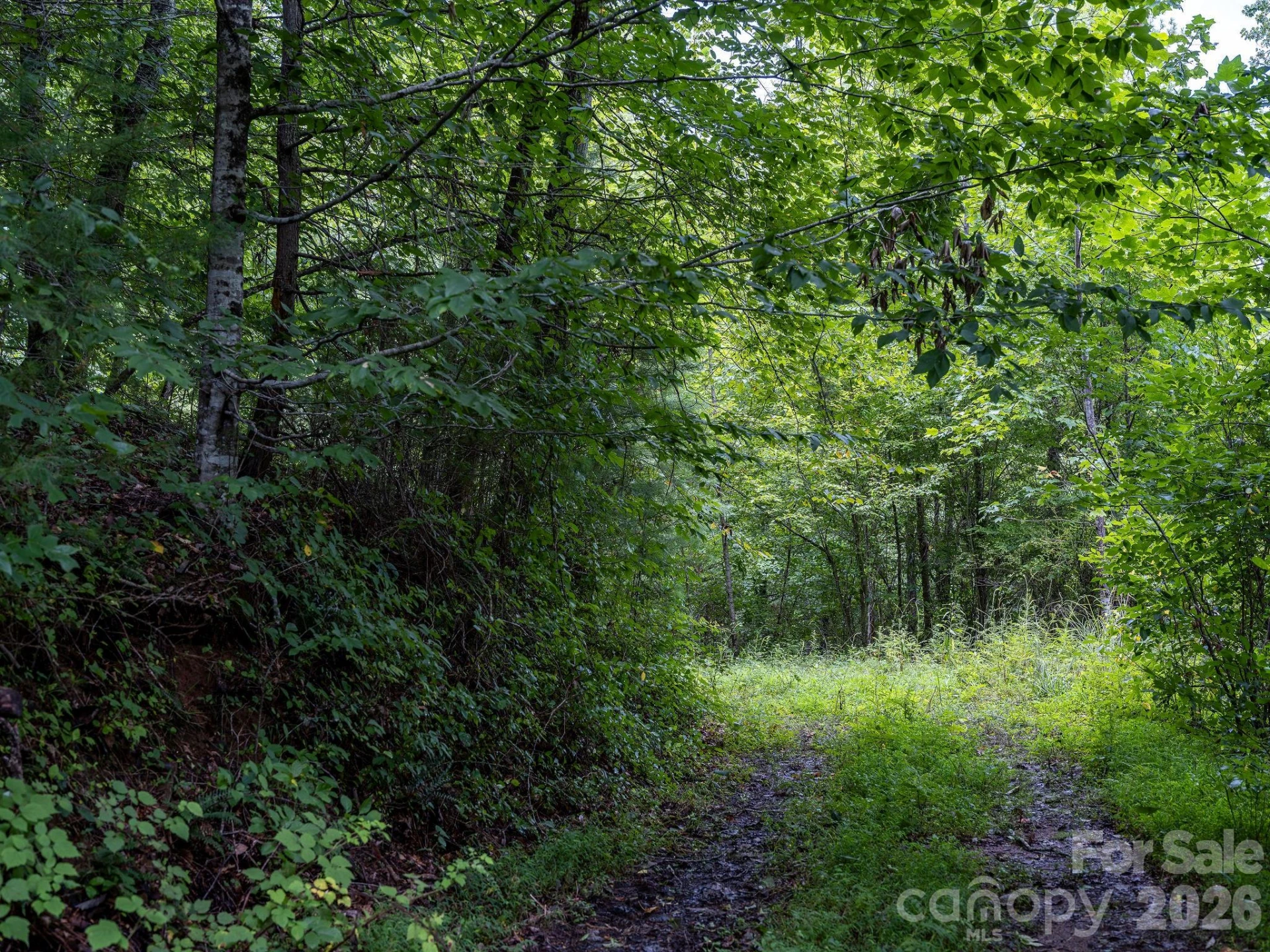 99999 Meadows Town Road - Photo 25