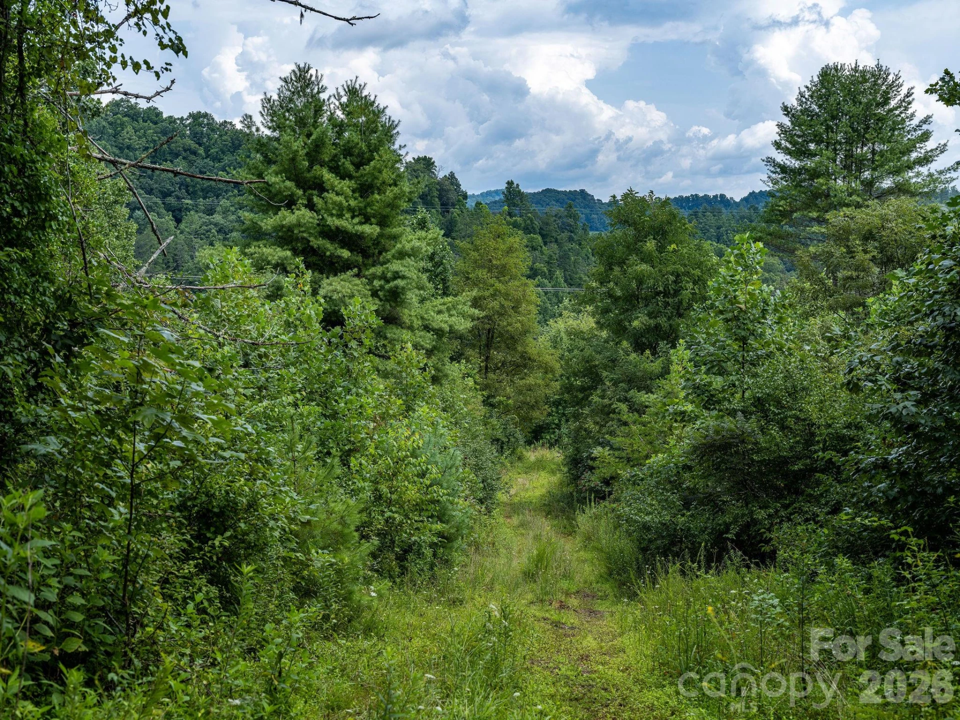 99999 Meadows Town Road - Photo 27