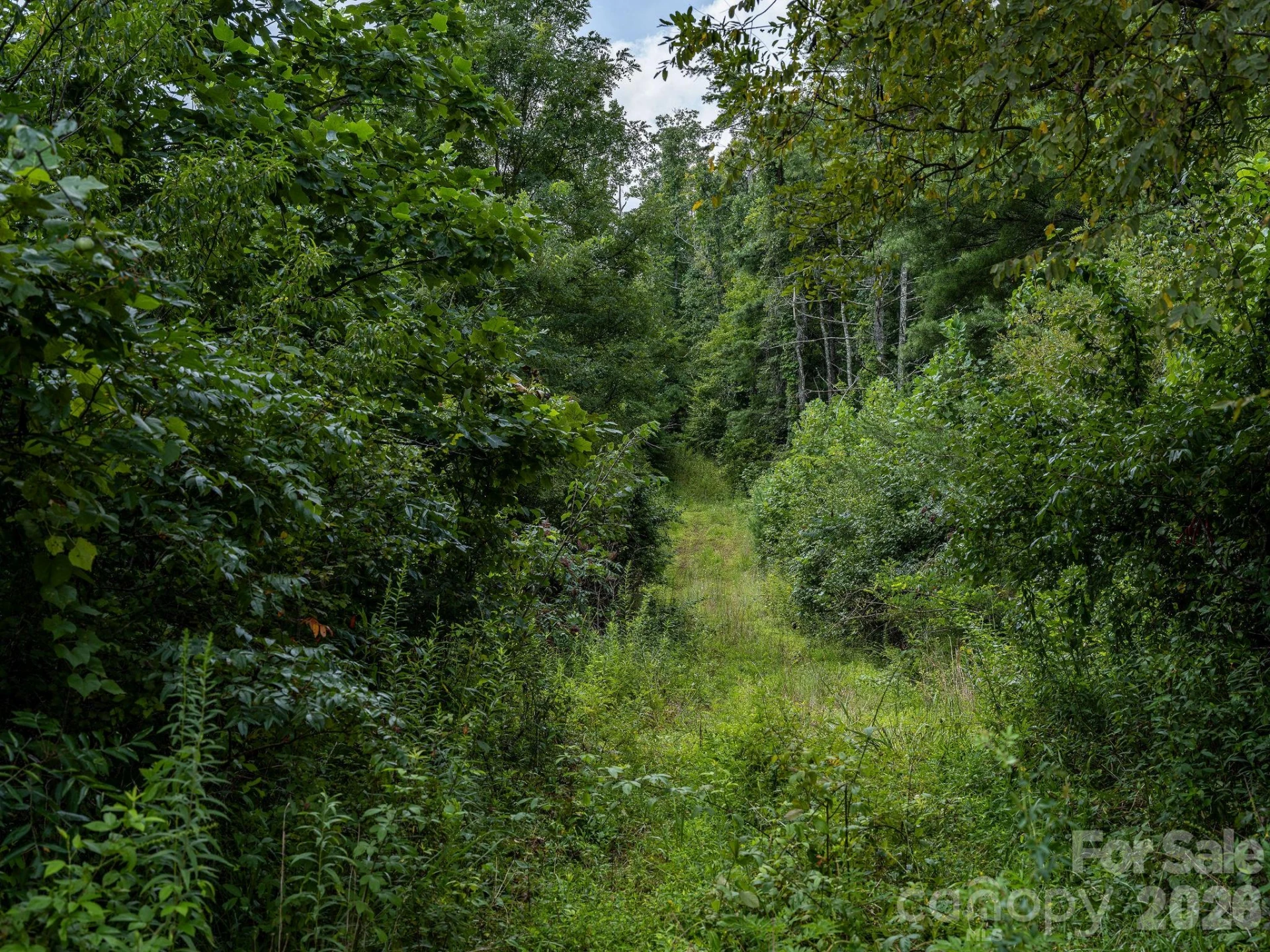 99999 Meadows Town Road - Photo 30