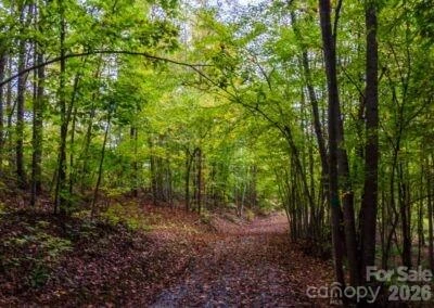 538 Grandview Peaks Drive #31 - Photo 5