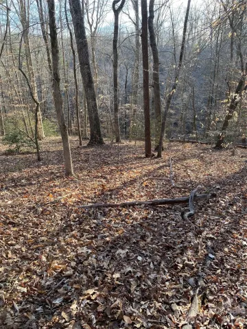 0 Hugh Champion Road, Tryon, NC, 28782
