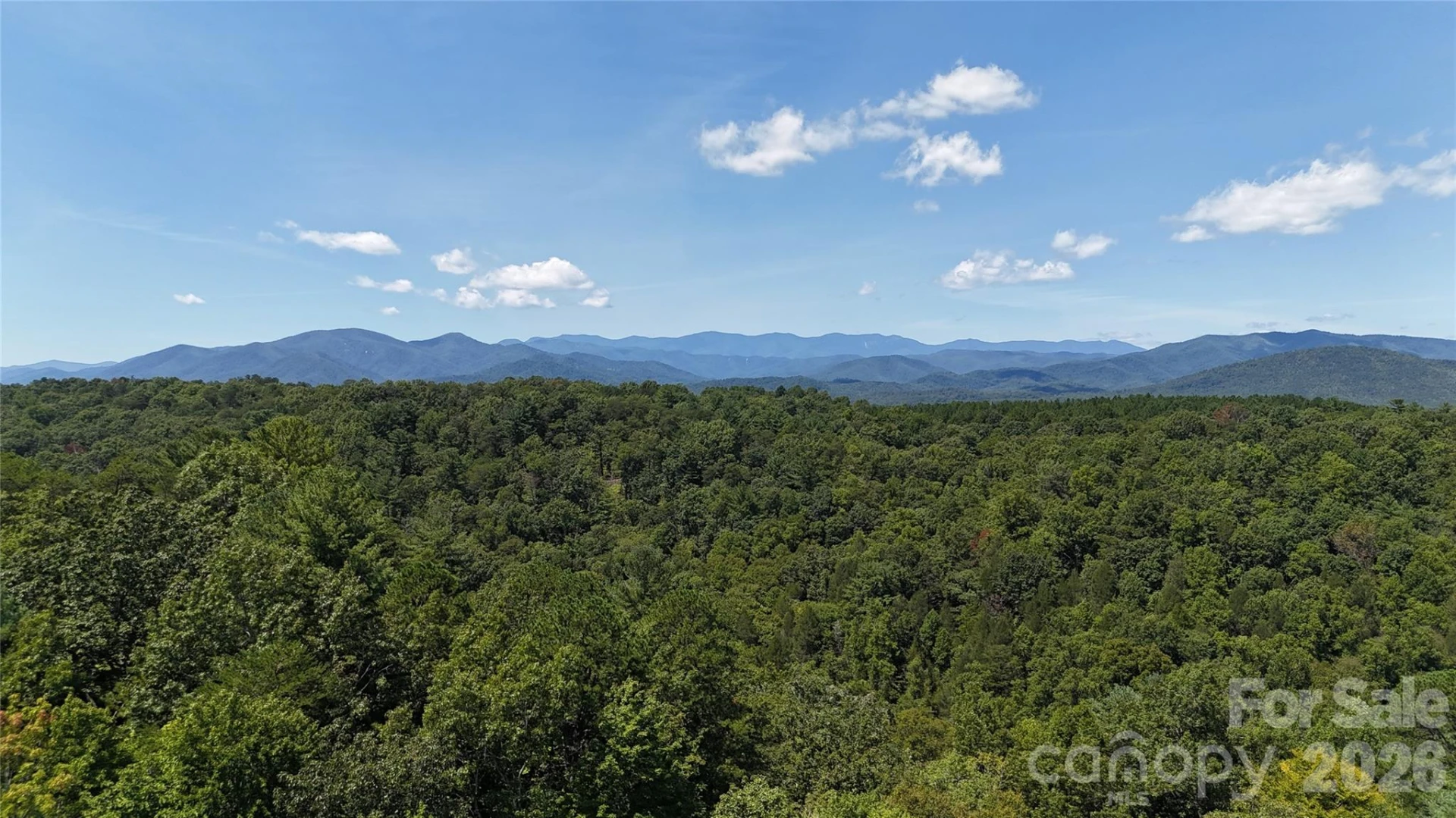 77 Raccoon Ridge - Photo 9