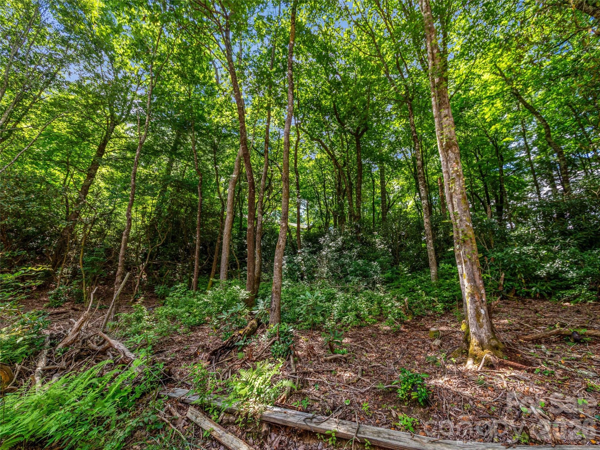 TBD Seminole Way - Photo 12