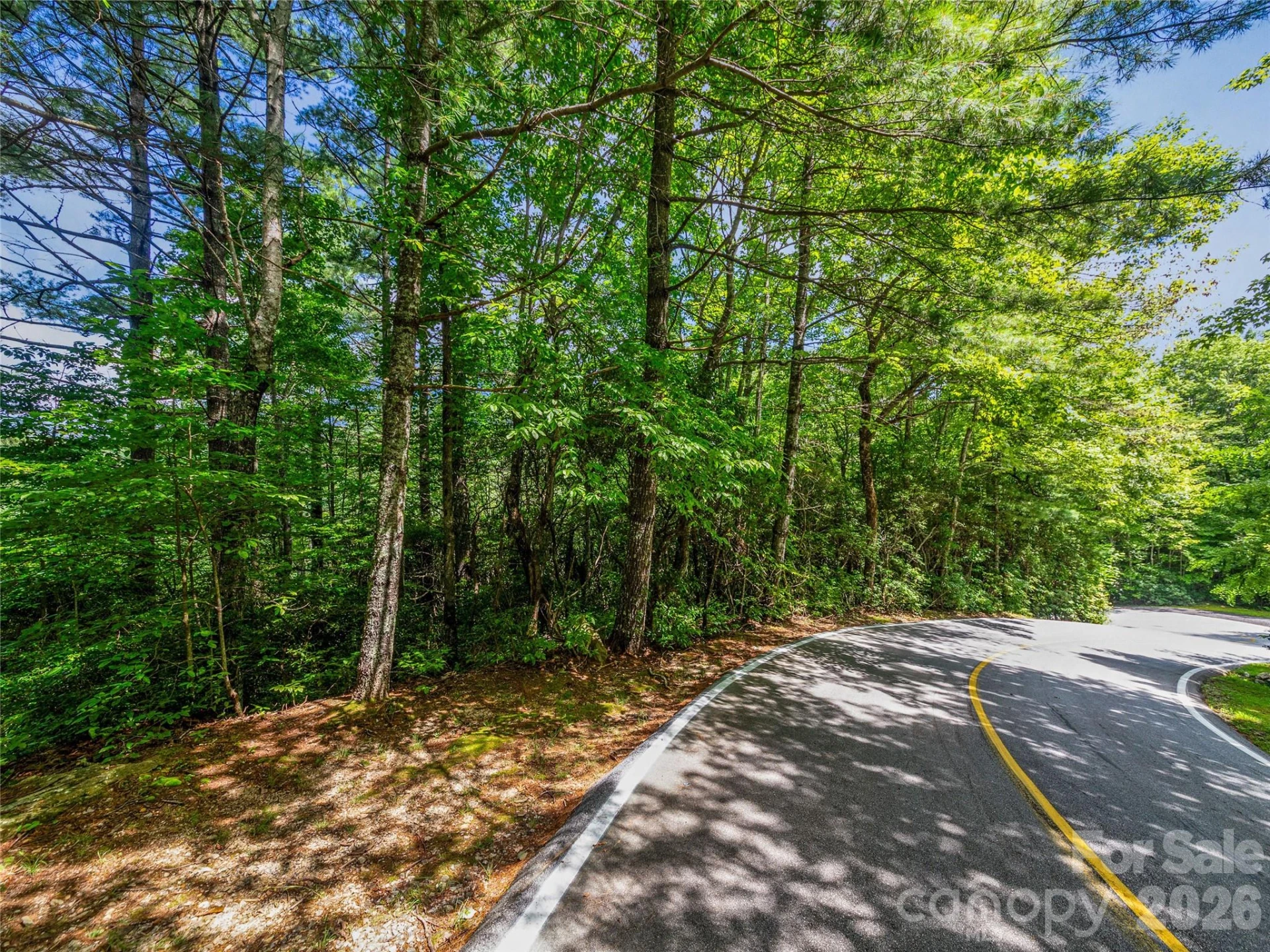 TBD Seminole Way - Photo 14
